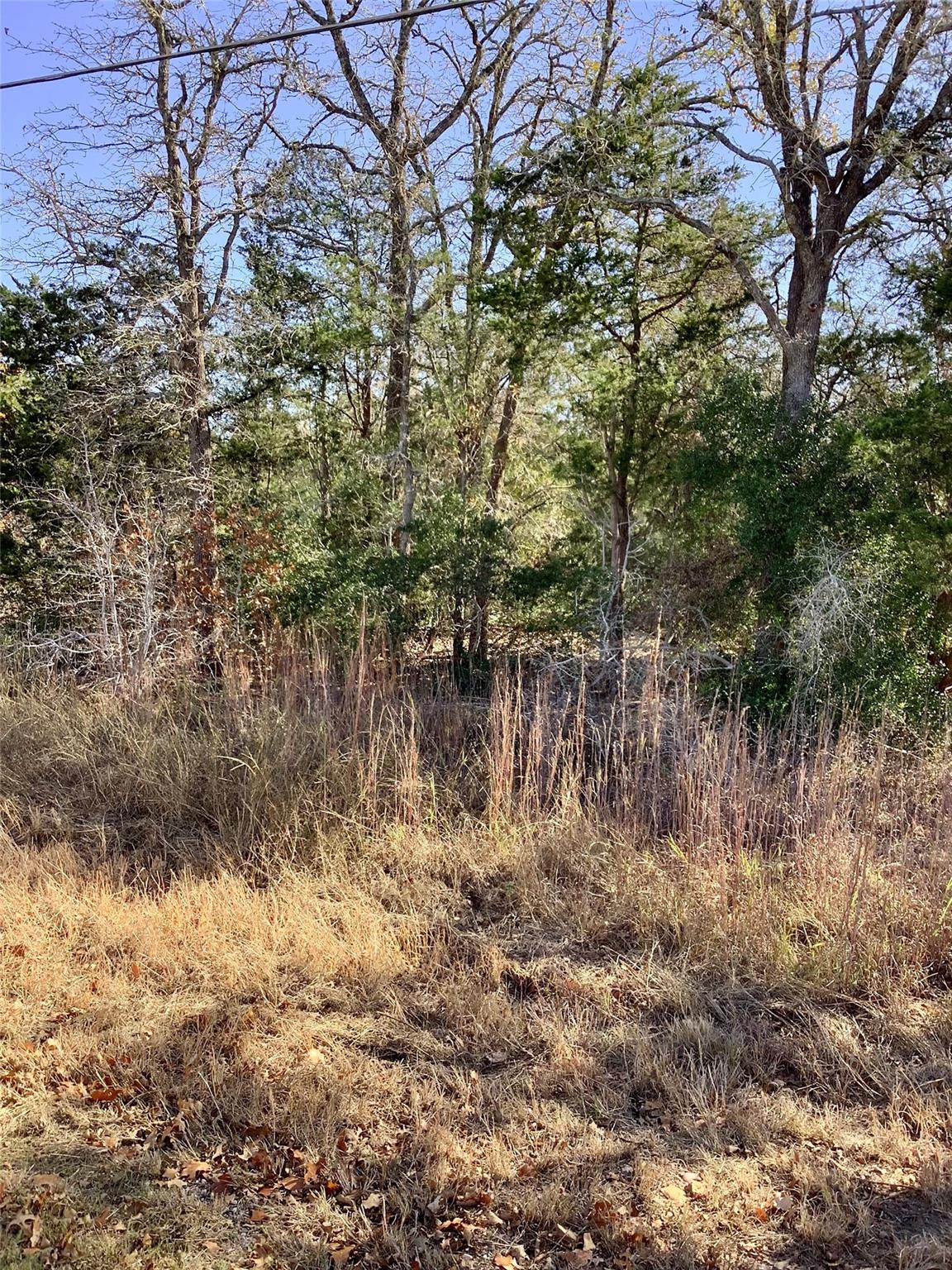 211 Big Bow None Property Photo 6