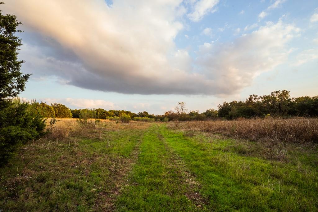 17650 Hamilton Pool Rd Property Photo 15