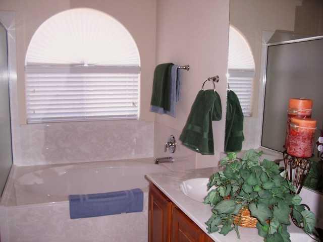 12200 Eruzione Dr Property Photo 7