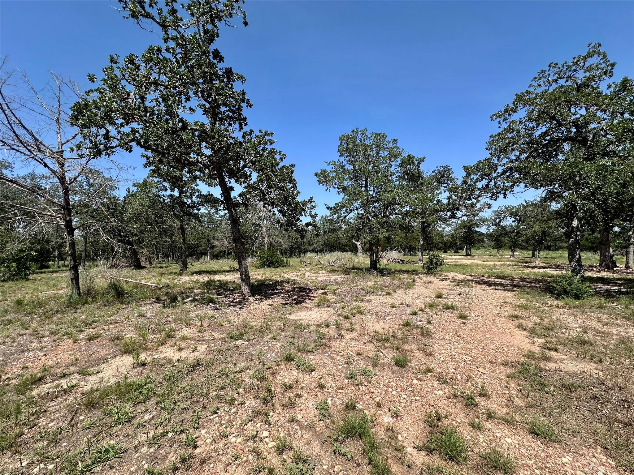 Tbd Edgewood Trl Property Photo 4