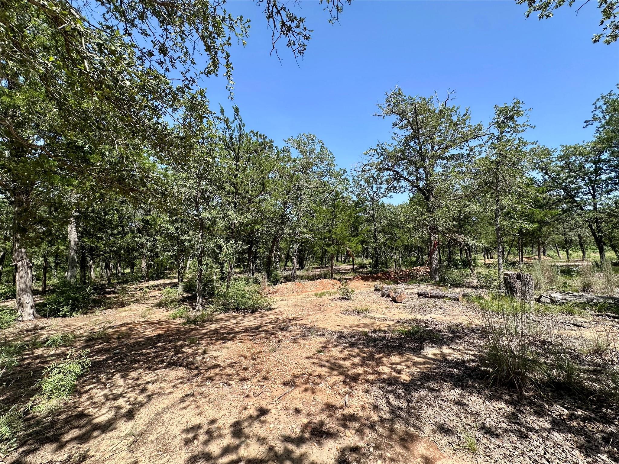 Tbd Edgewood Trl Property Photo 6