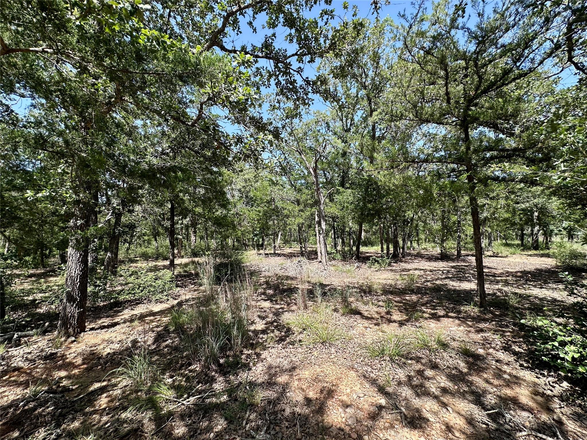 Tbd Edgewood Trl Property Photo 8