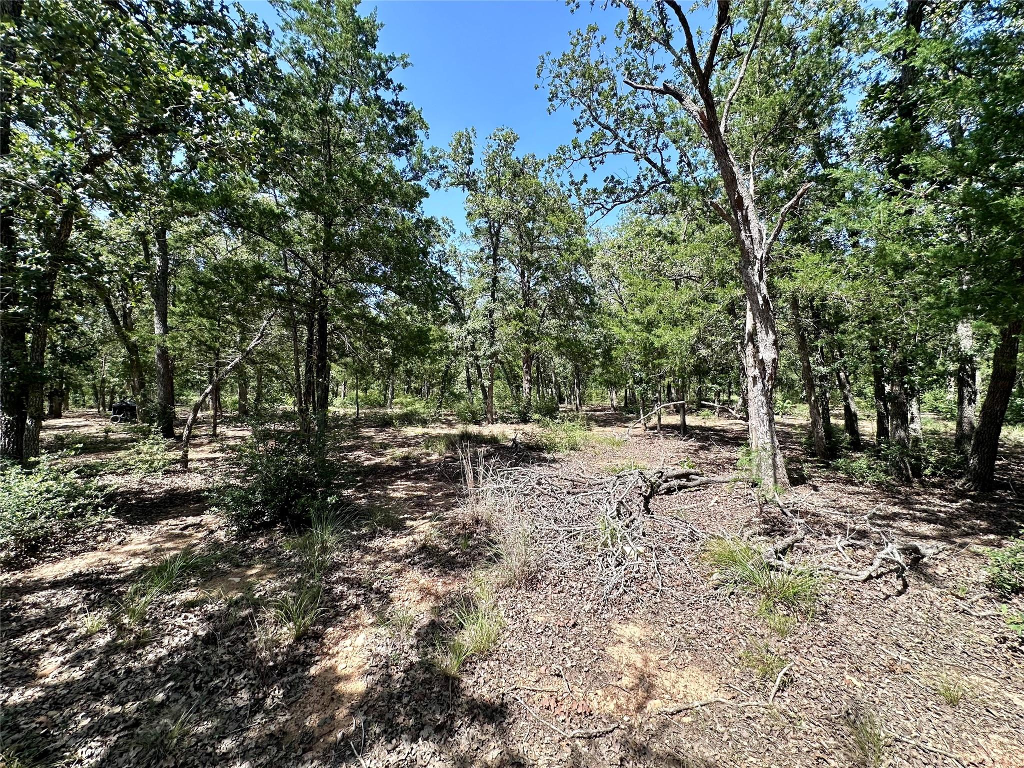Tbd Edgewood Trl Property Photo 10