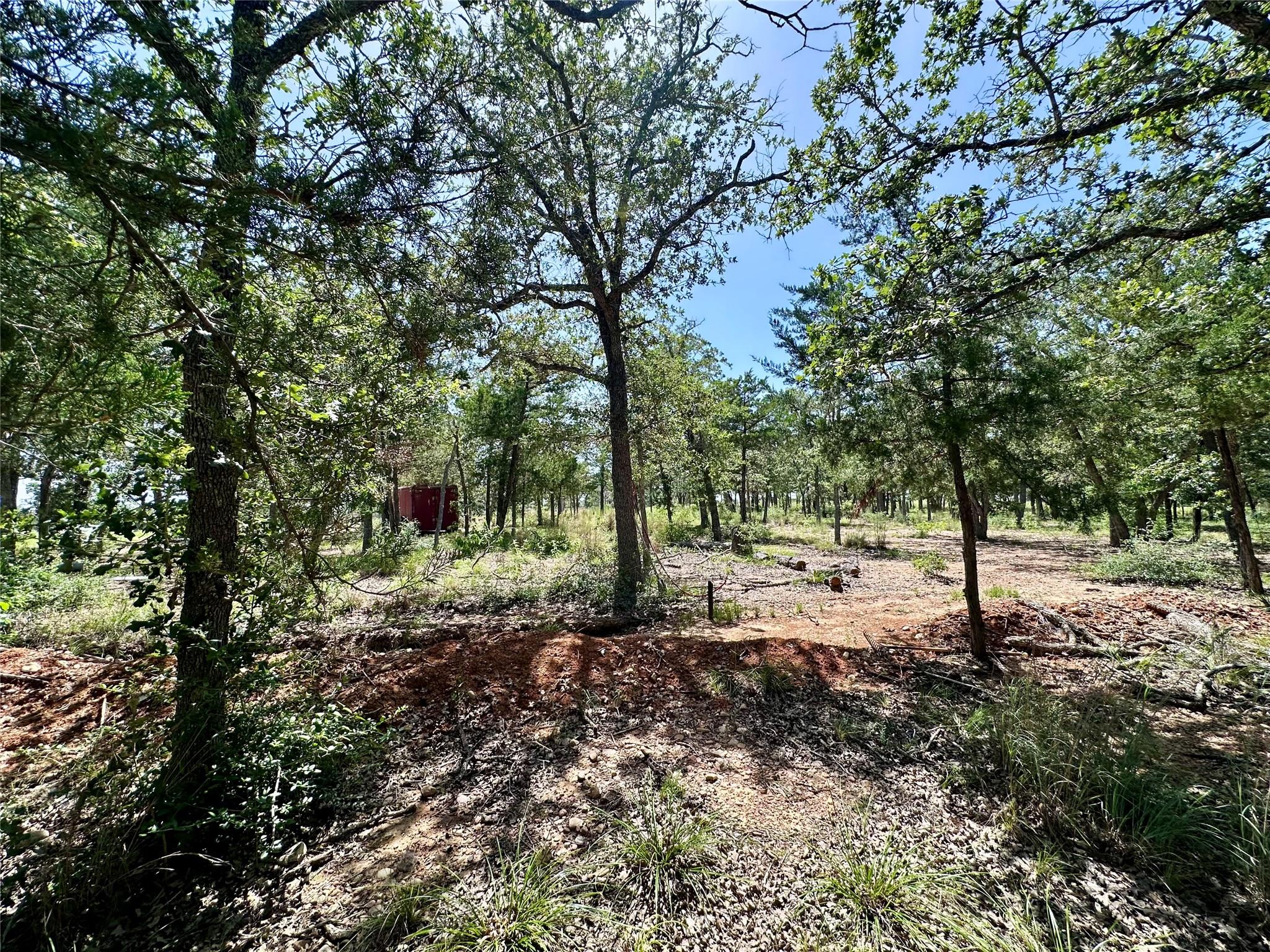 Tbd Edgewood Trl Property Photo 11
