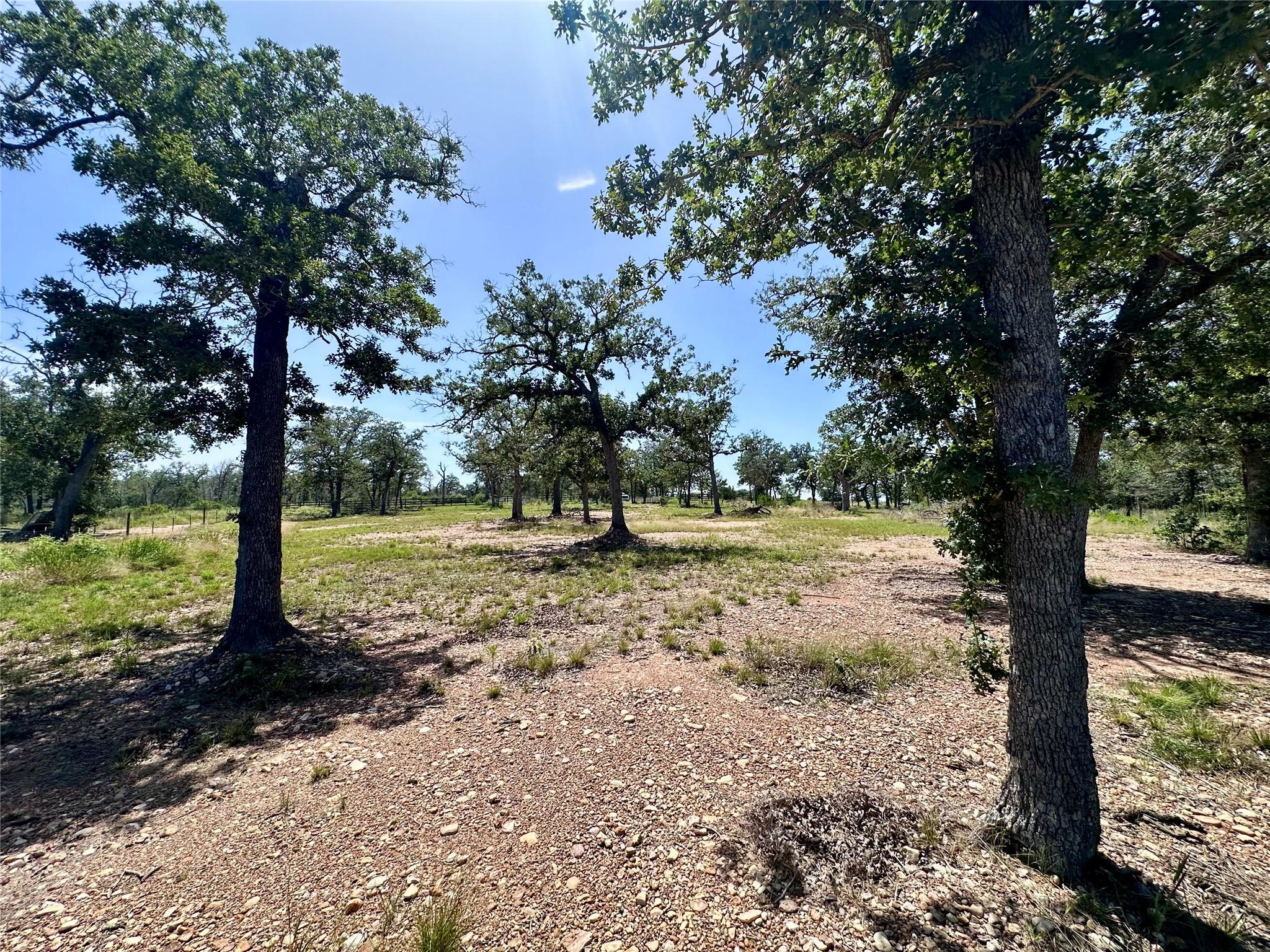 Tbd Edgewood Trl Property Photo 14