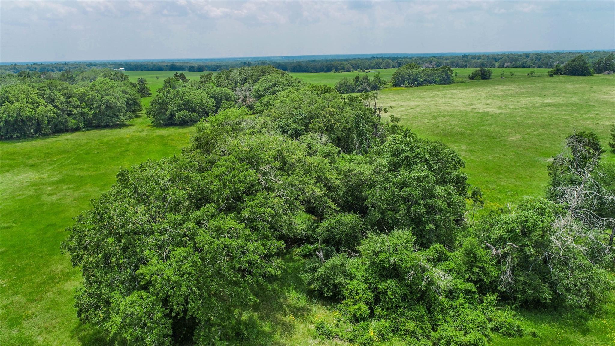 Lot 29 (5 Acres) Legacy Rd Property Photo 10