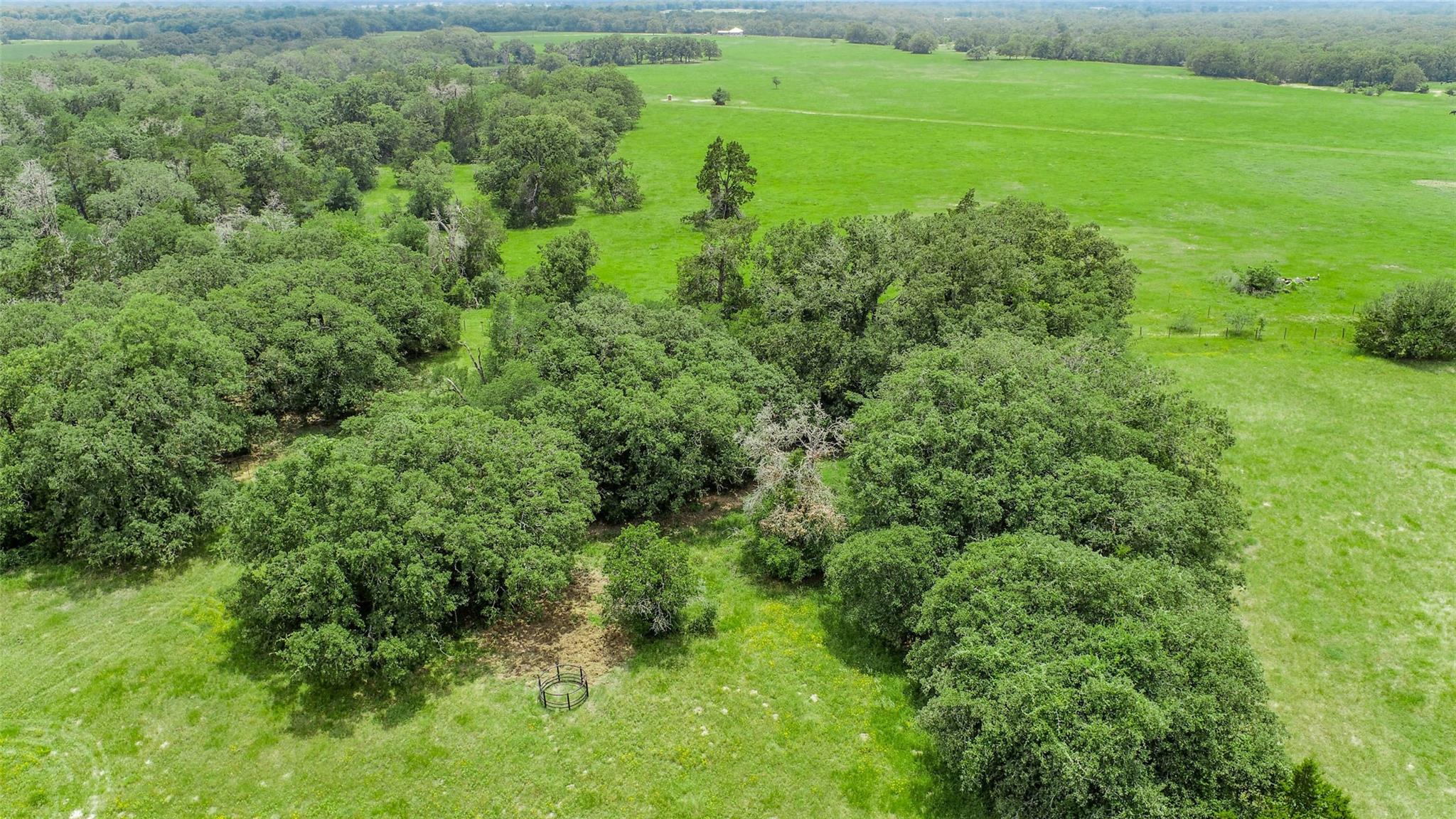 Lot 29 (5 Acres) Legacy Rd Property Photo 11