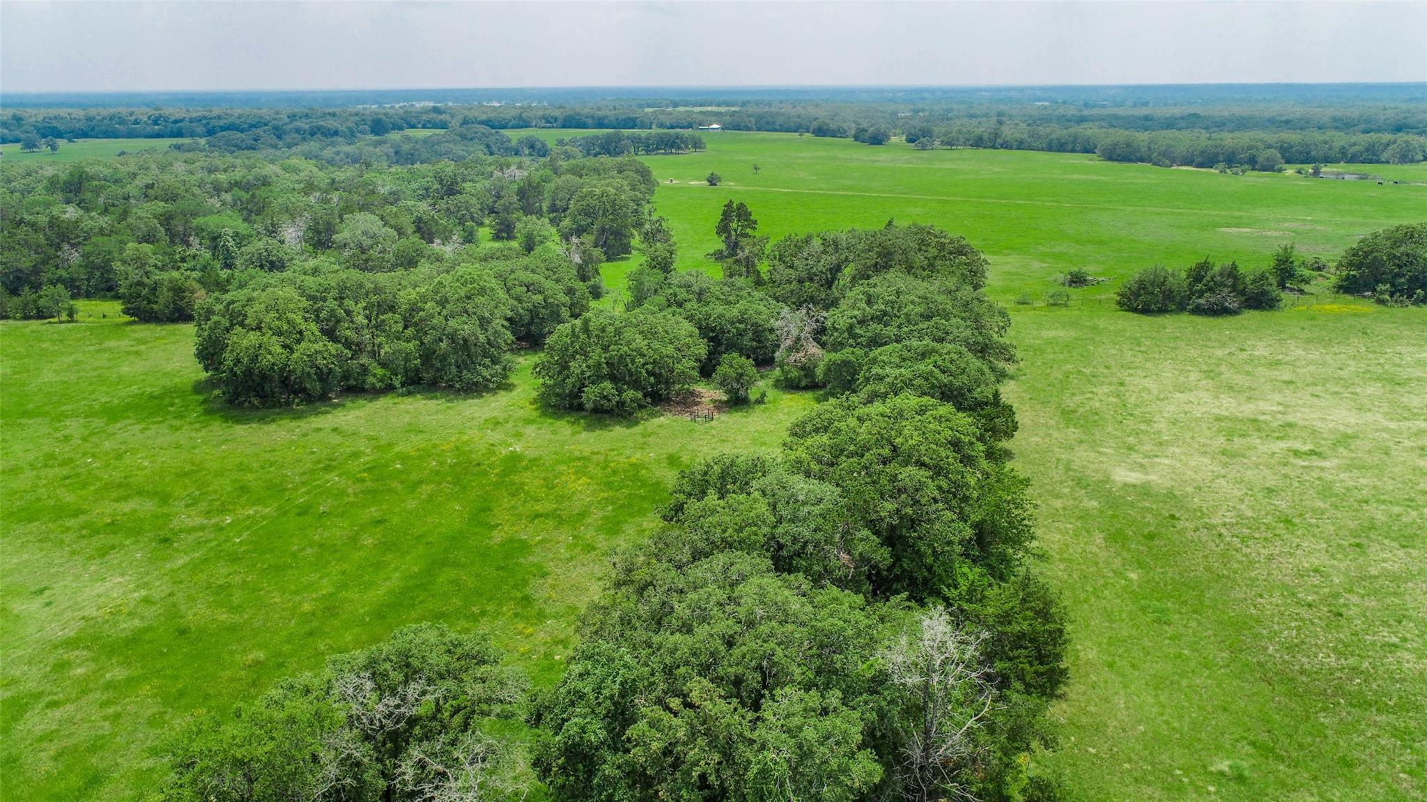 Lot 29 (5 Acres) Legacy Rd Property Photo 16