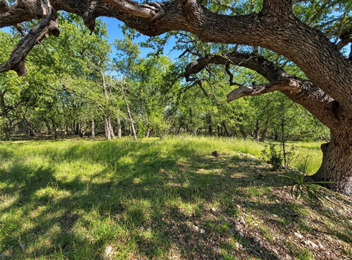 Tbd Carney Ln Property Photo 1