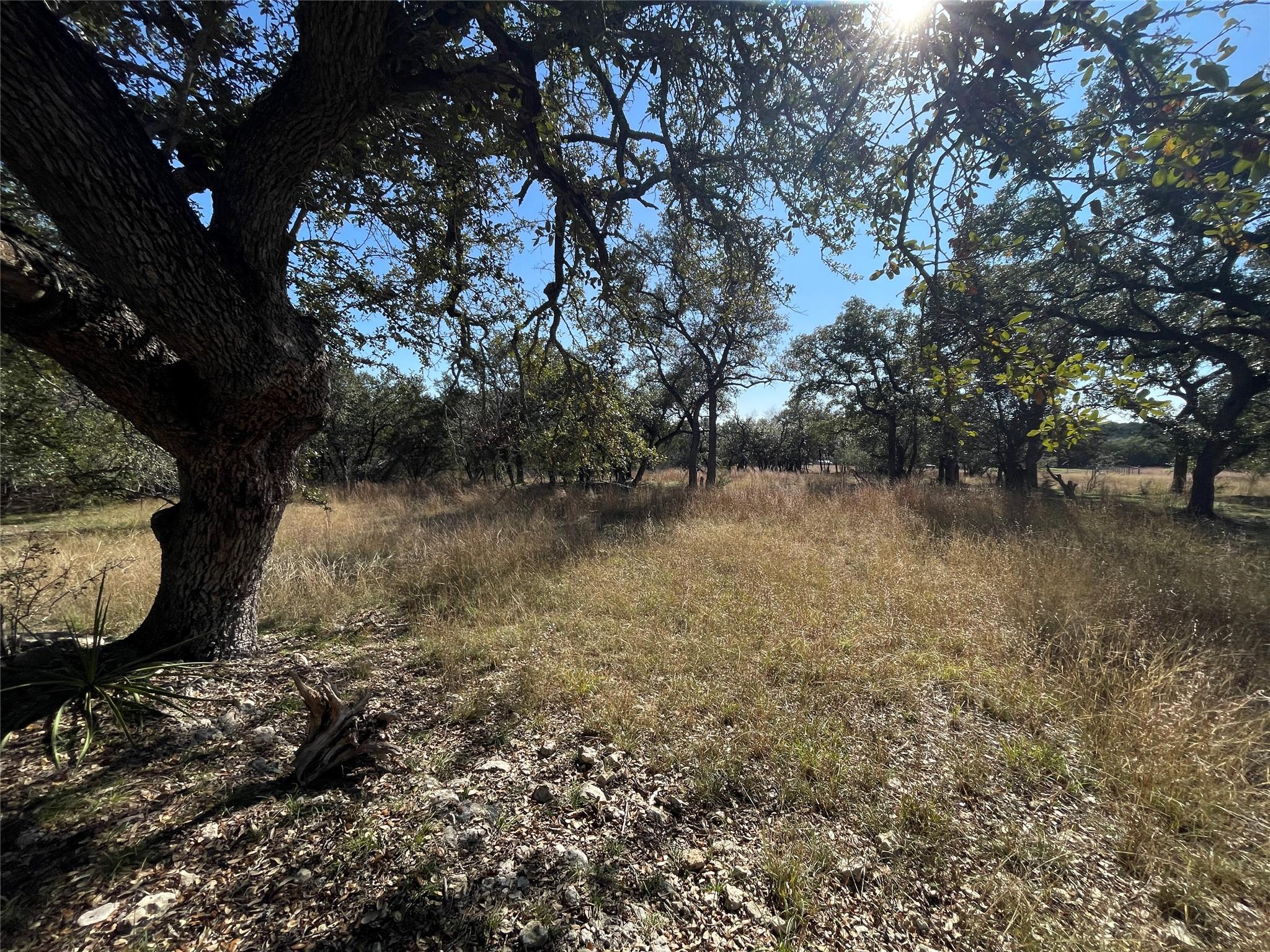 Tbd Carney Ln Property Photo 8