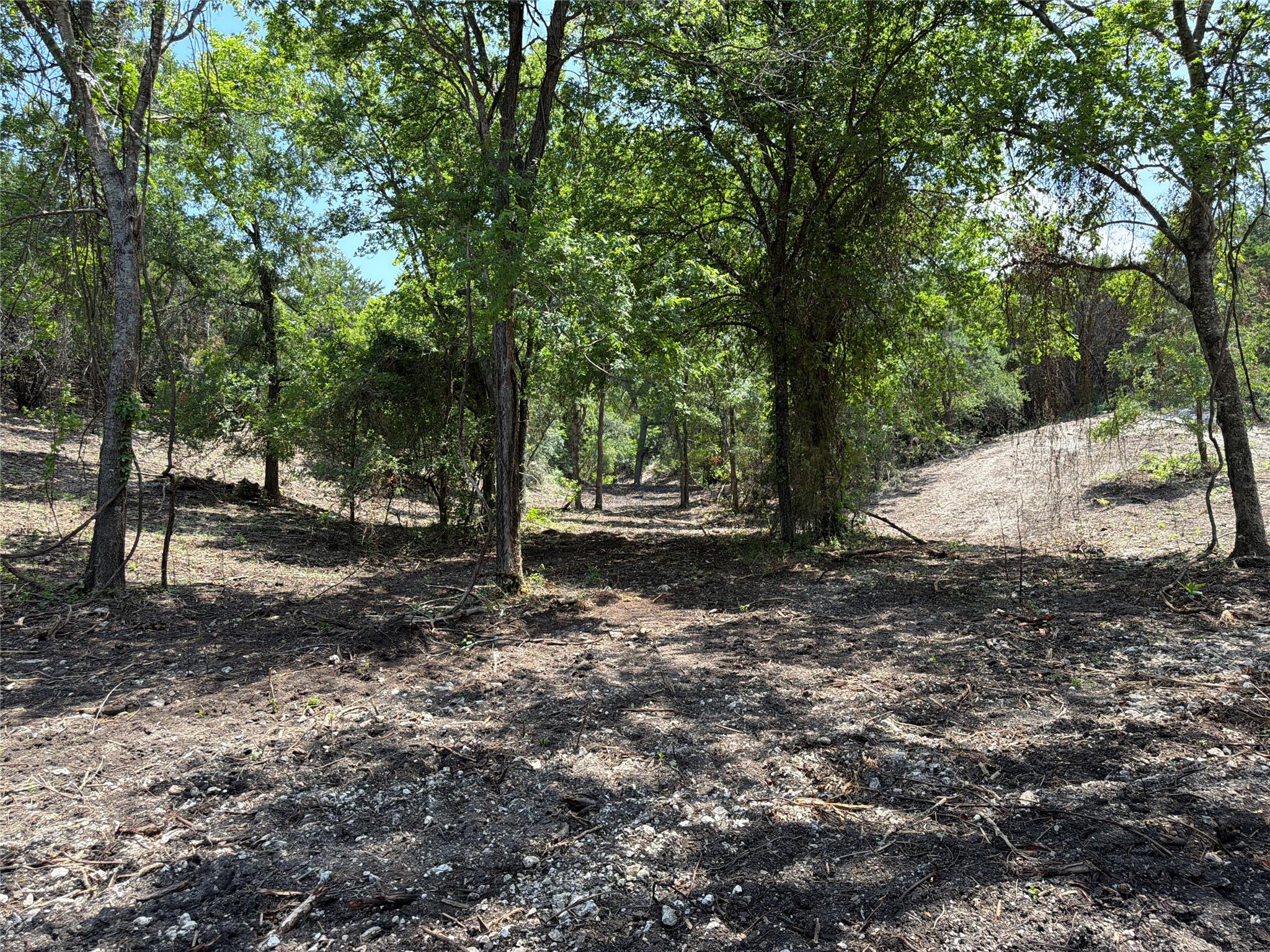 Tbd Fm 2955 None Property Photo 18