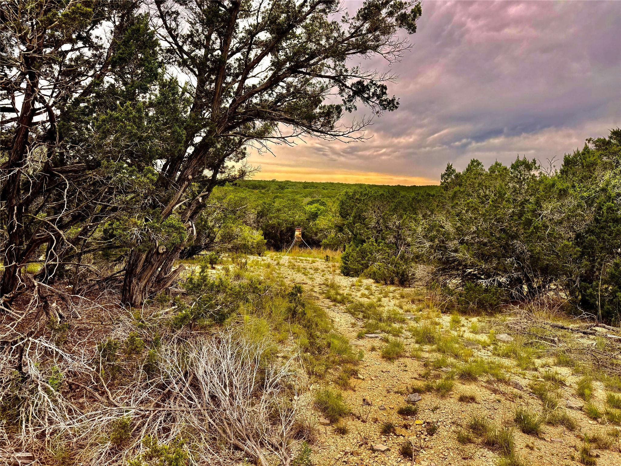 2017 County Road 222 None Property Photo 4