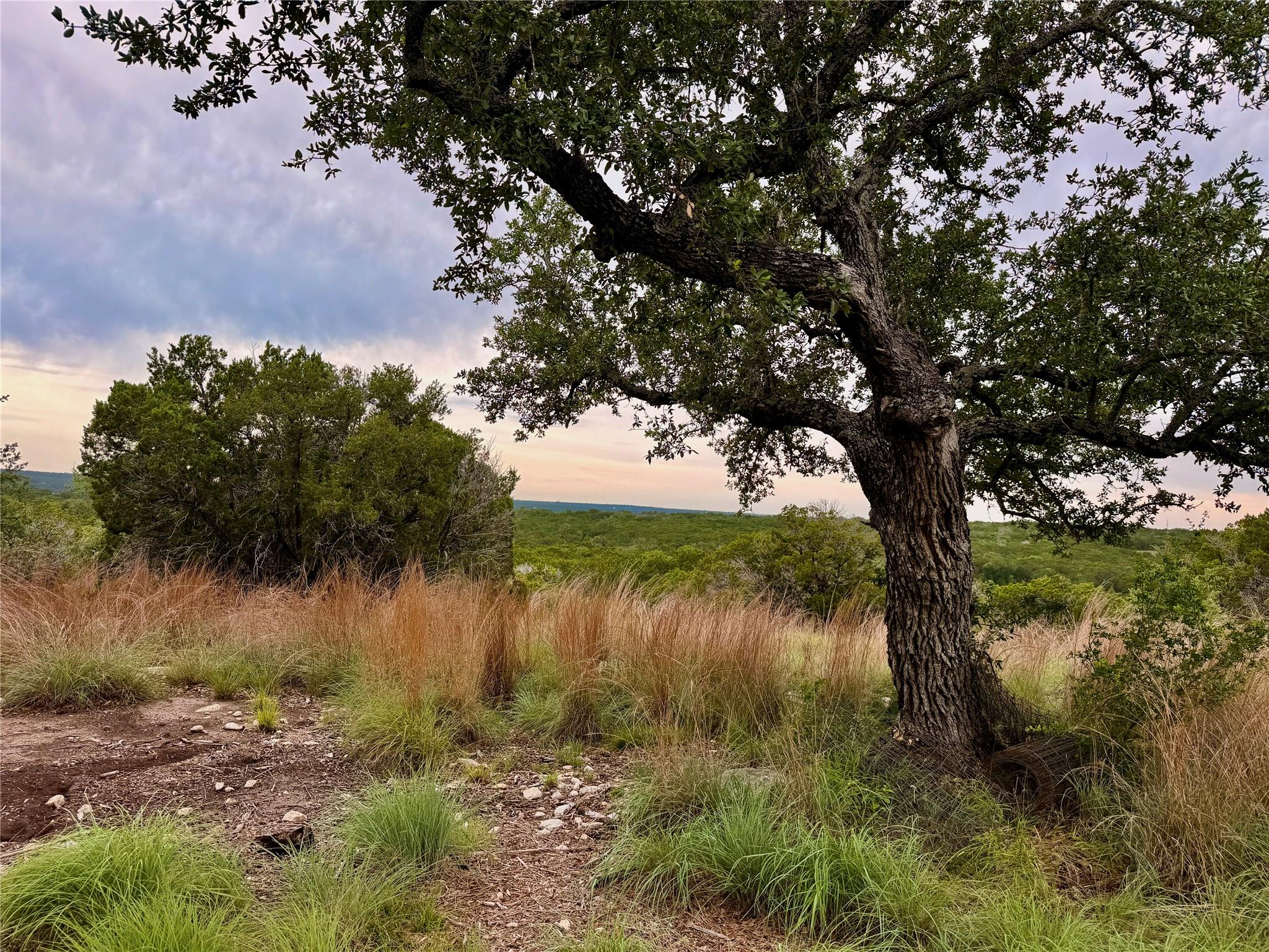 2017 County Road 222 None Property Photo 5