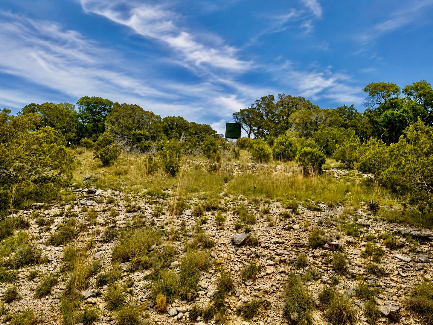 2017 County Road 222 None Property Photo 7
