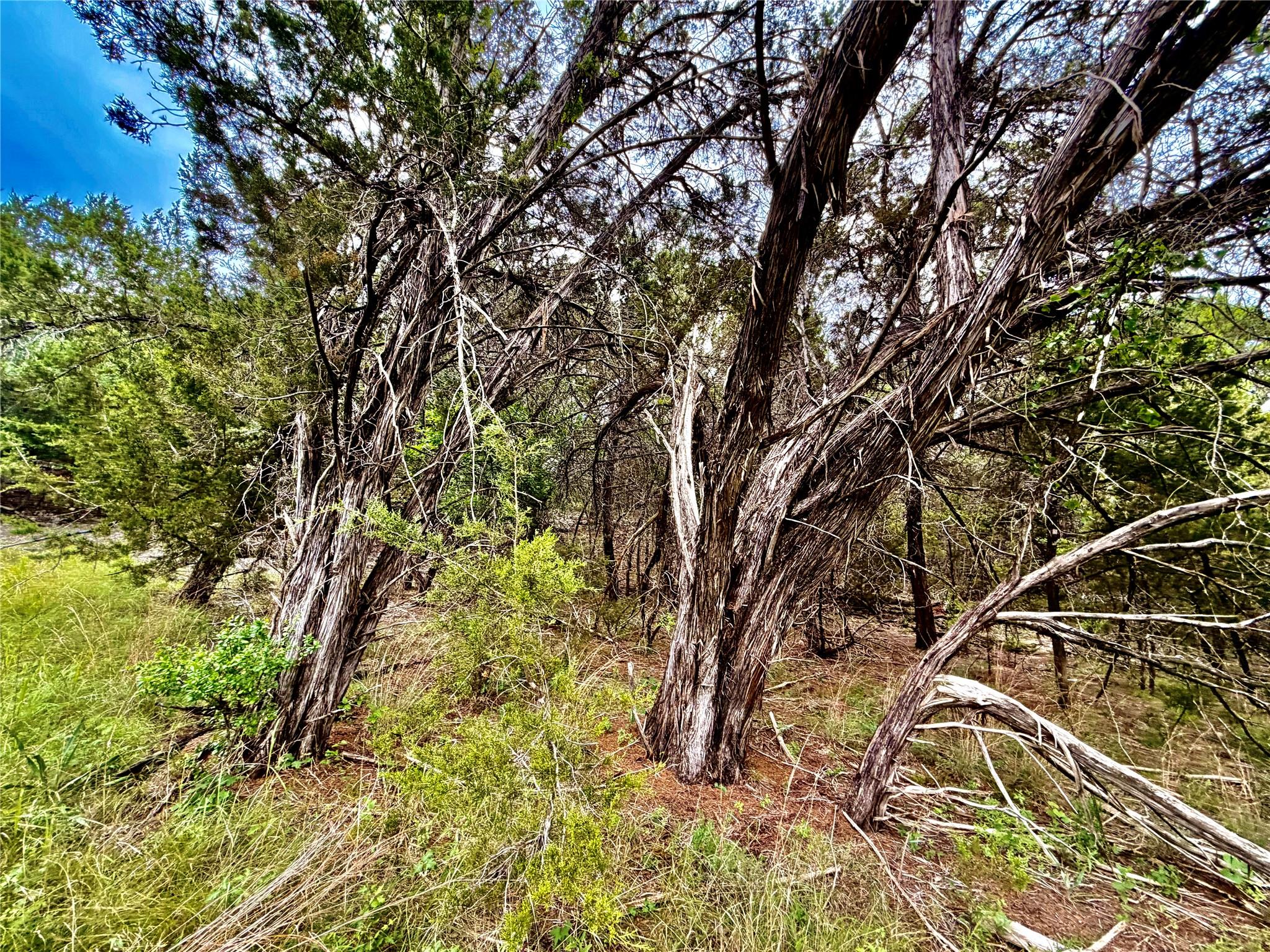 2017 County Road 222 None Property Photo 13