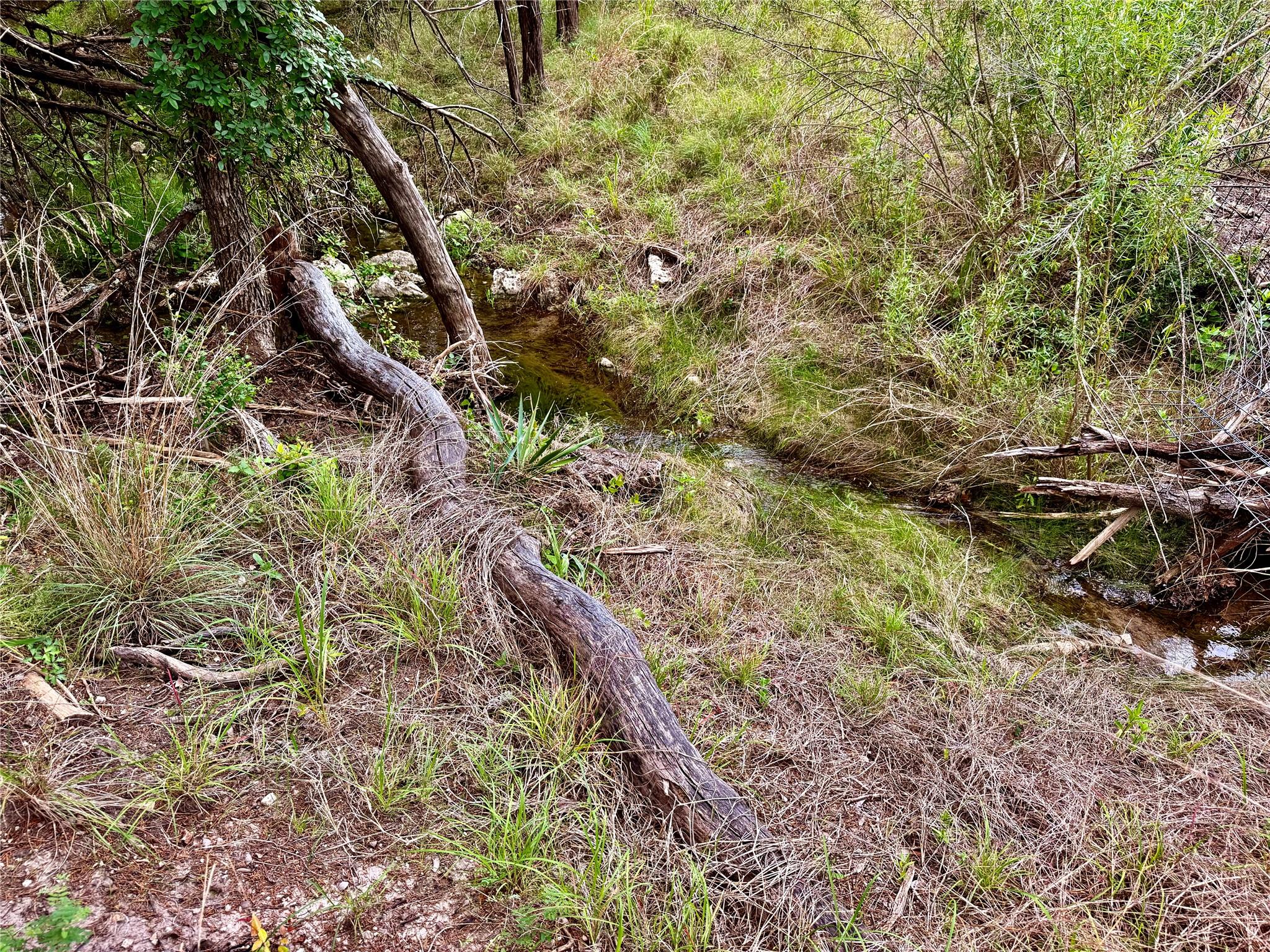 2017 County Road 222 None Property Photo 15