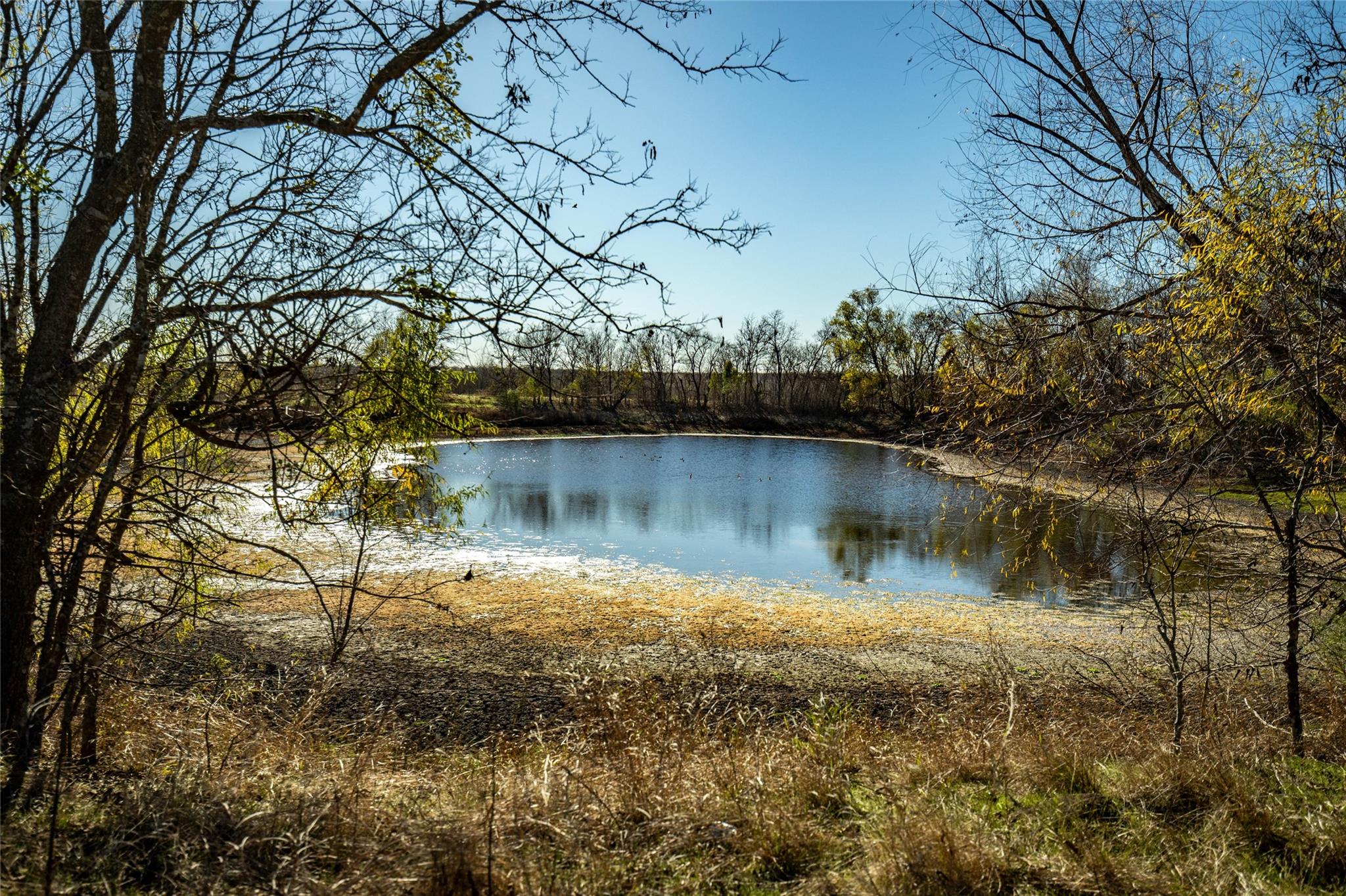 12101 New Sweden Church Rd Property Photo 5