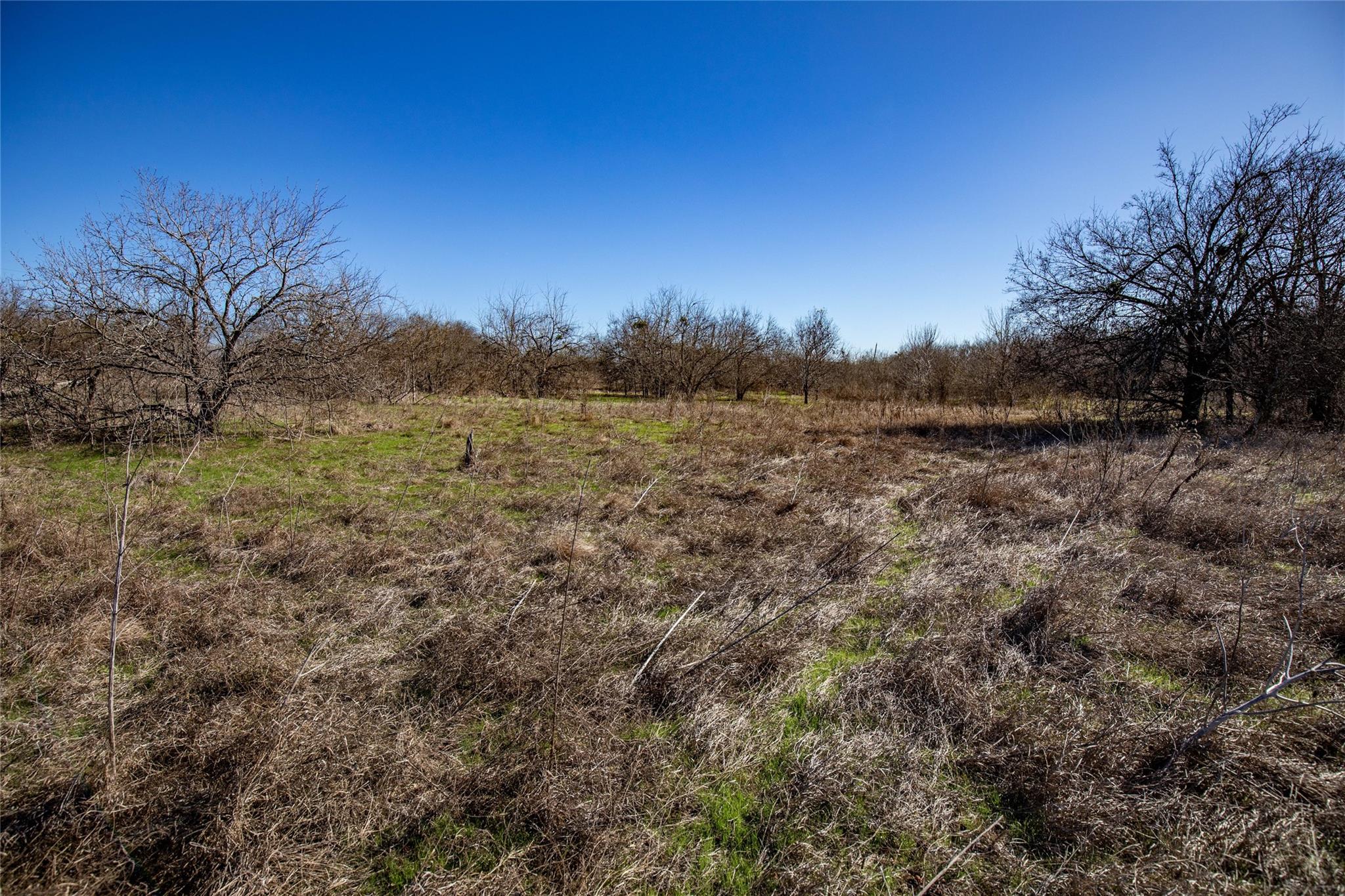 12101 New Sweden Church Rd Property Photo 27