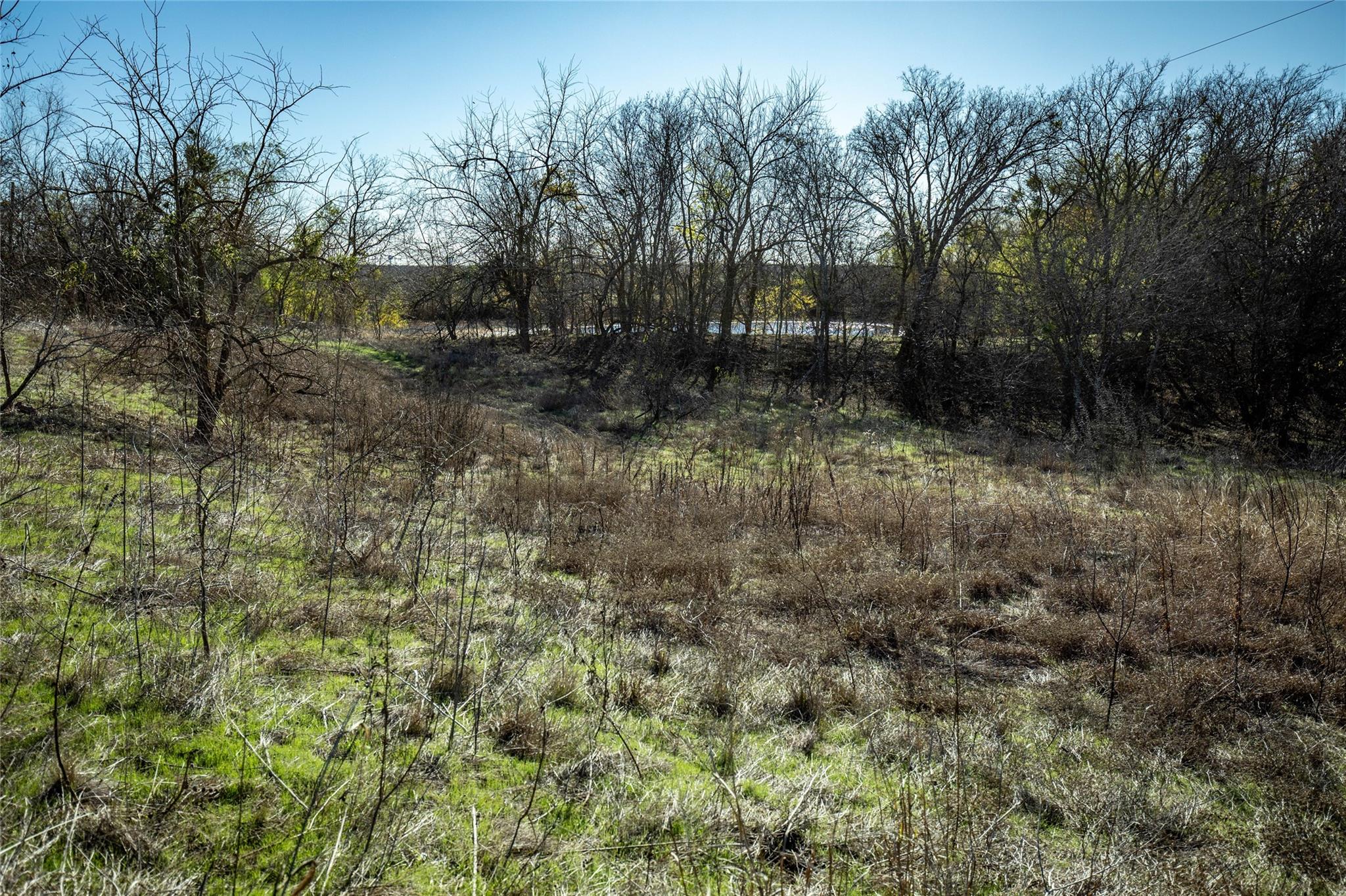 12101 New Sweden Church Rd Property Photo 32