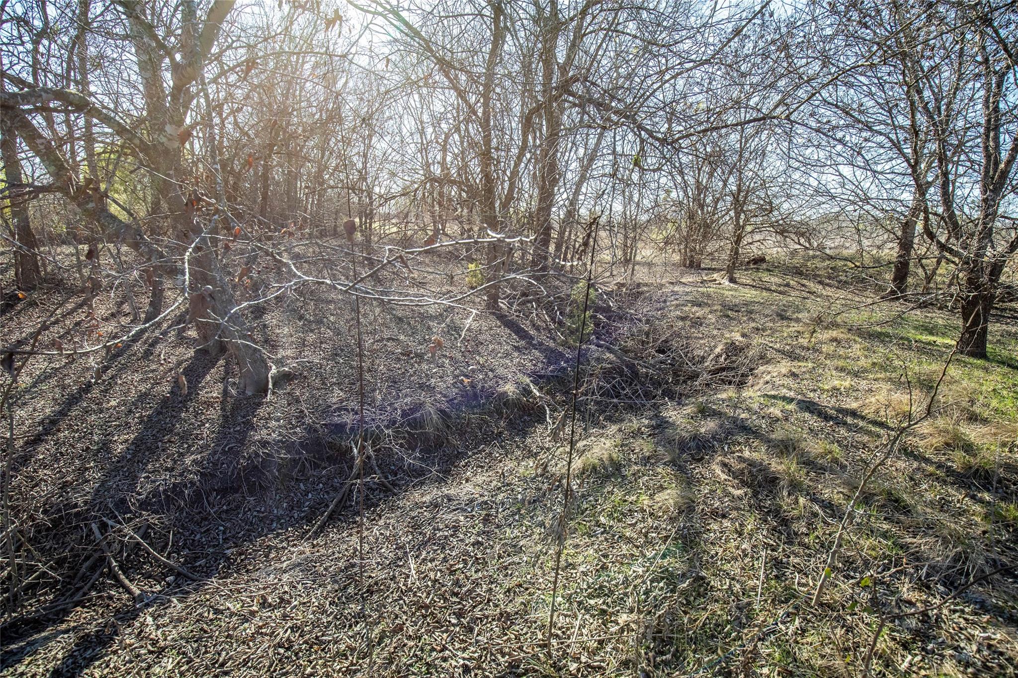 12101 New Sweden Church Rd Property Photo 33