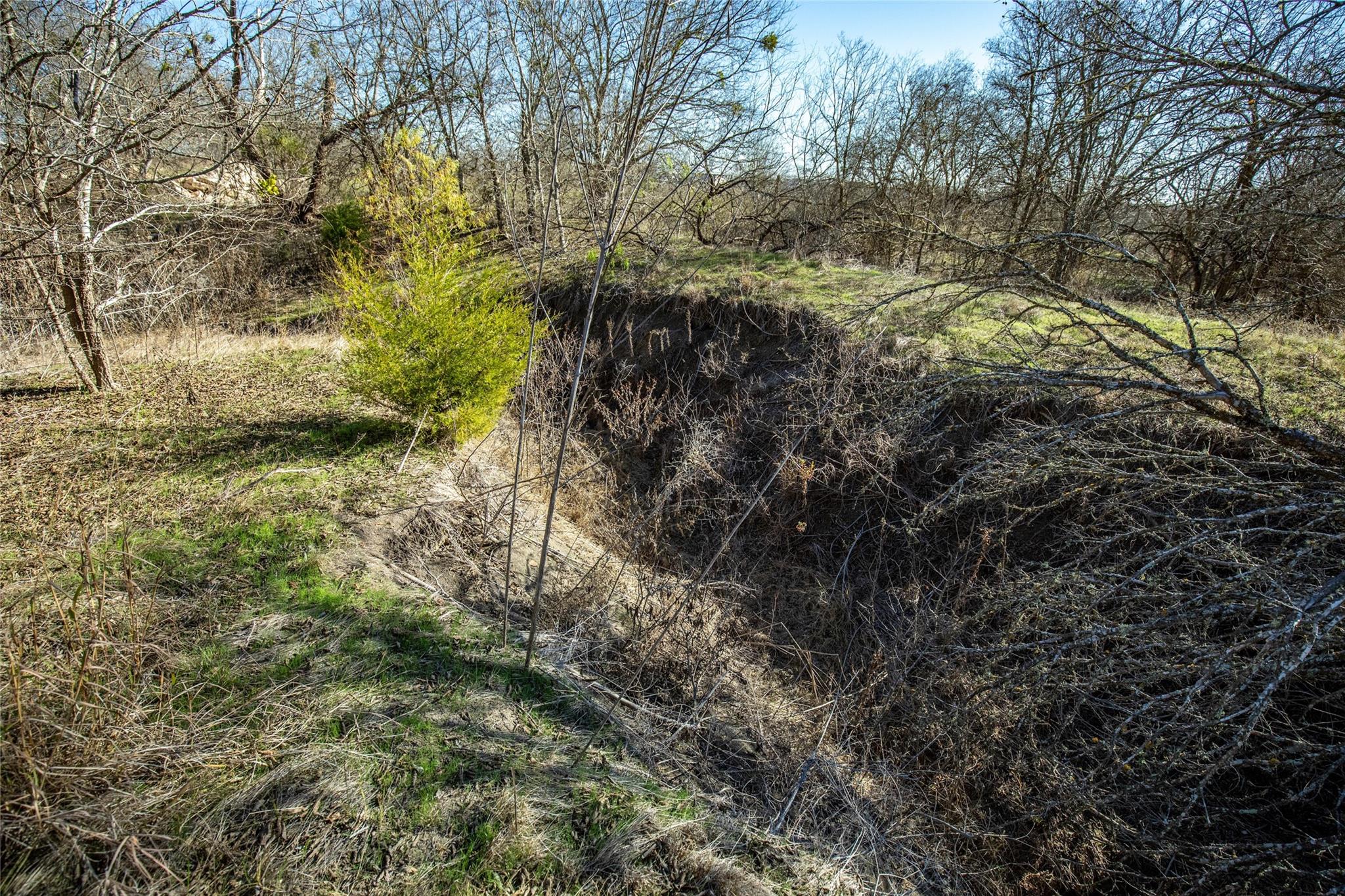 12101 New Sweden Church Rd Property Photo 34