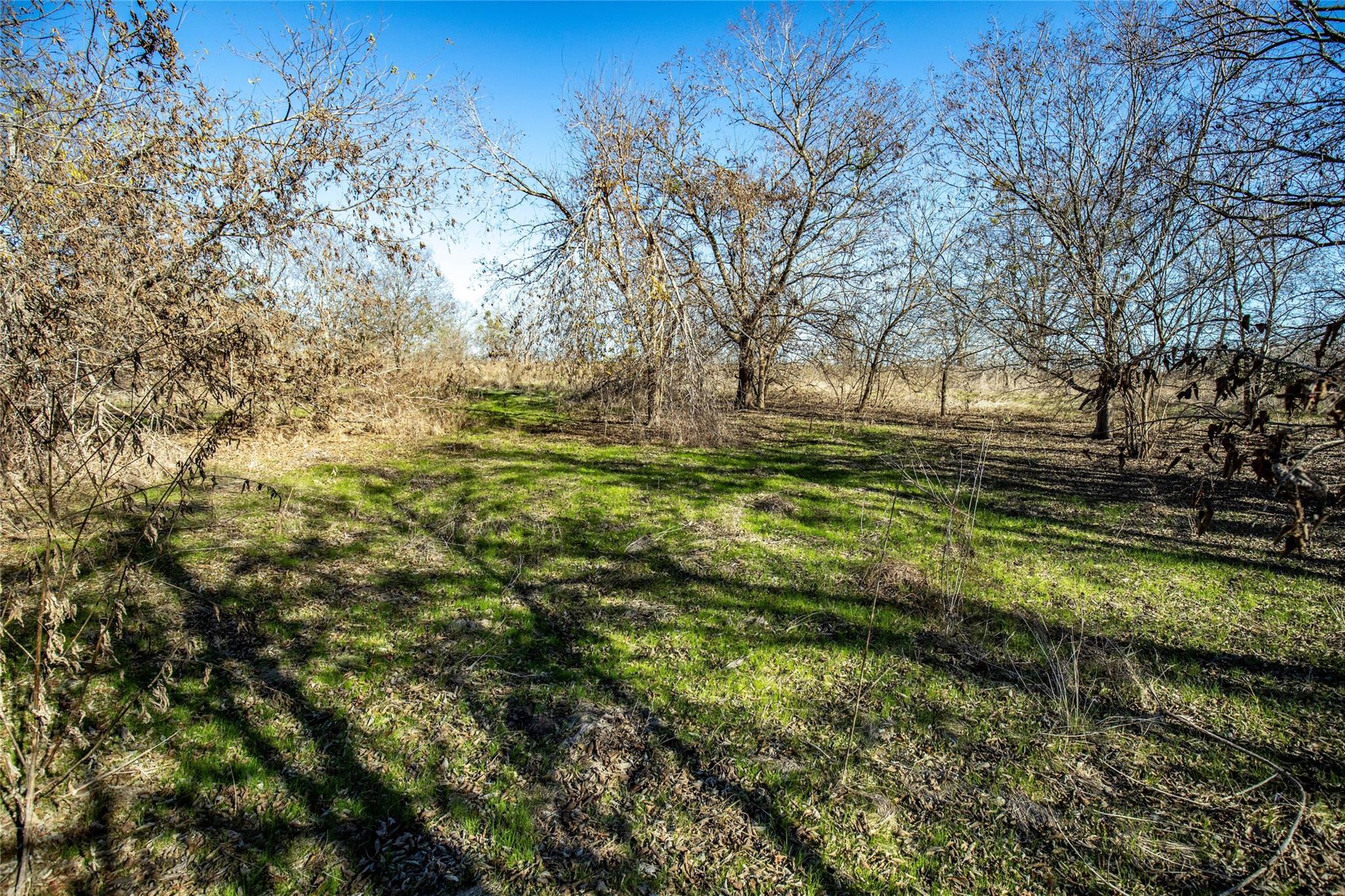 12101 New Sweden Church Rd Property Photo 35