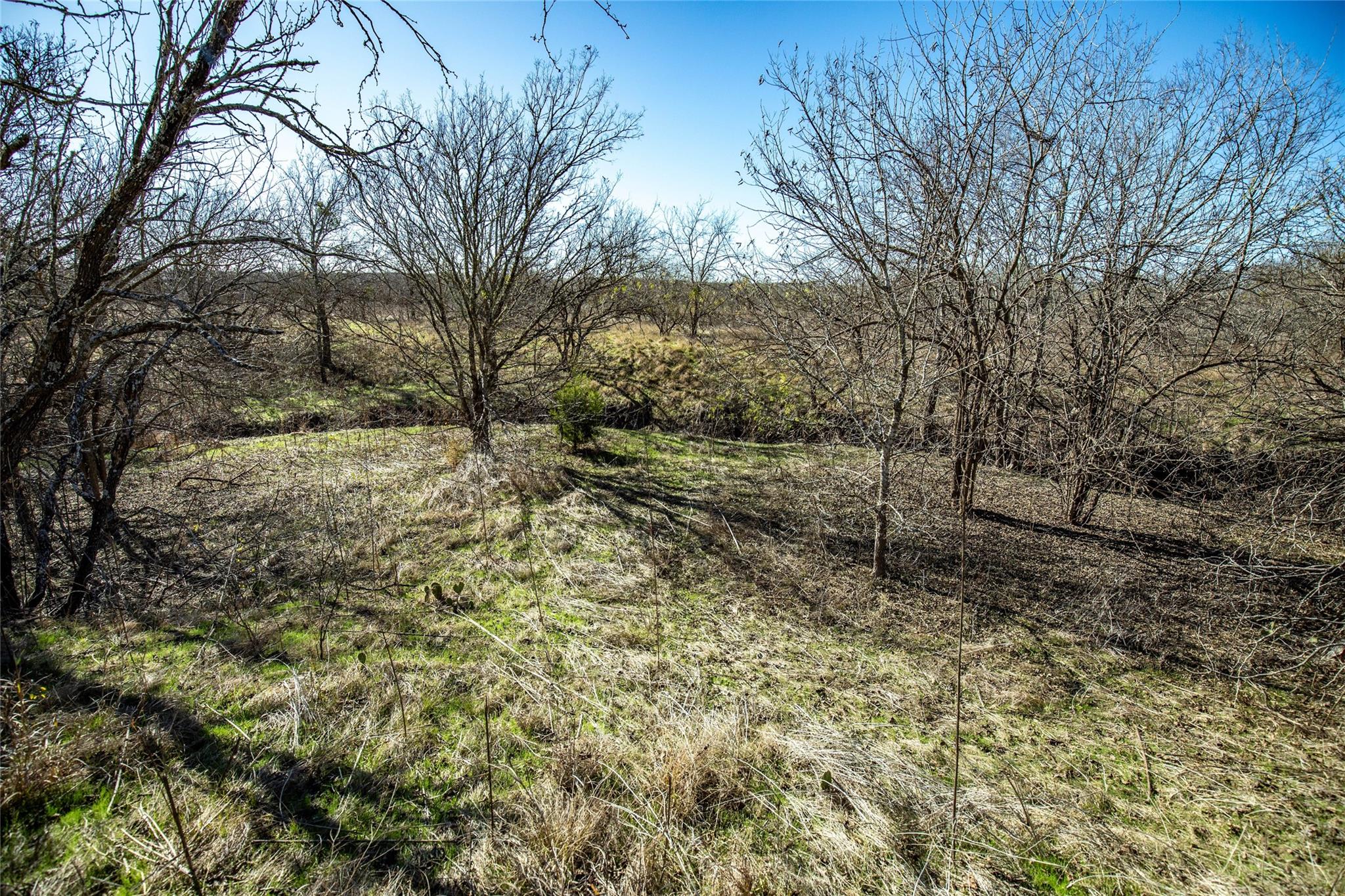 12101 New Sweden Church Rd Property Photo 36