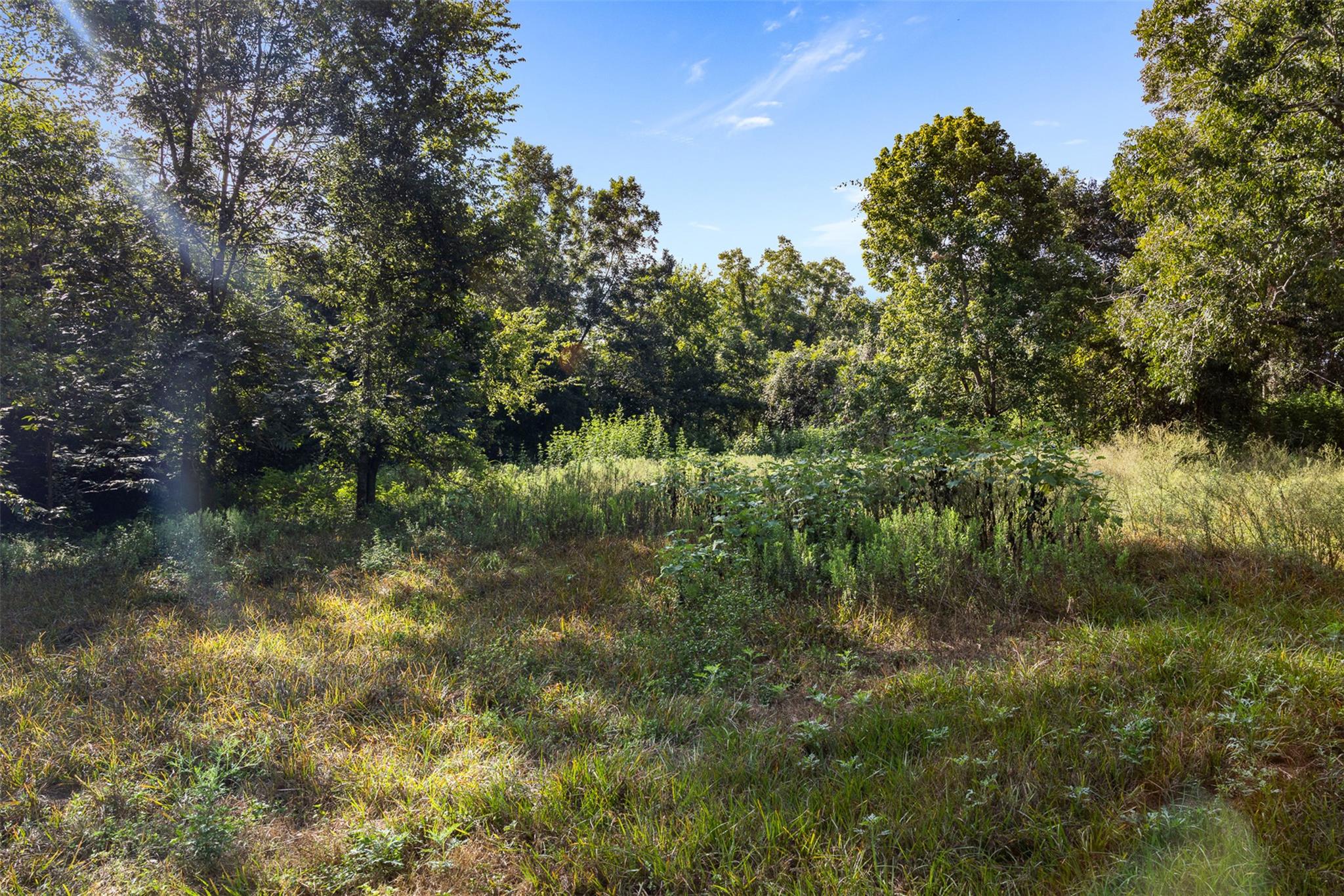 1007 Evans Rd Property Photo 15