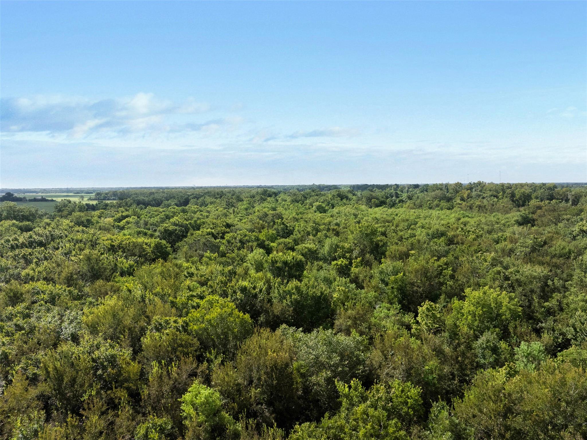 1007 Evans Rd Property Photo 17