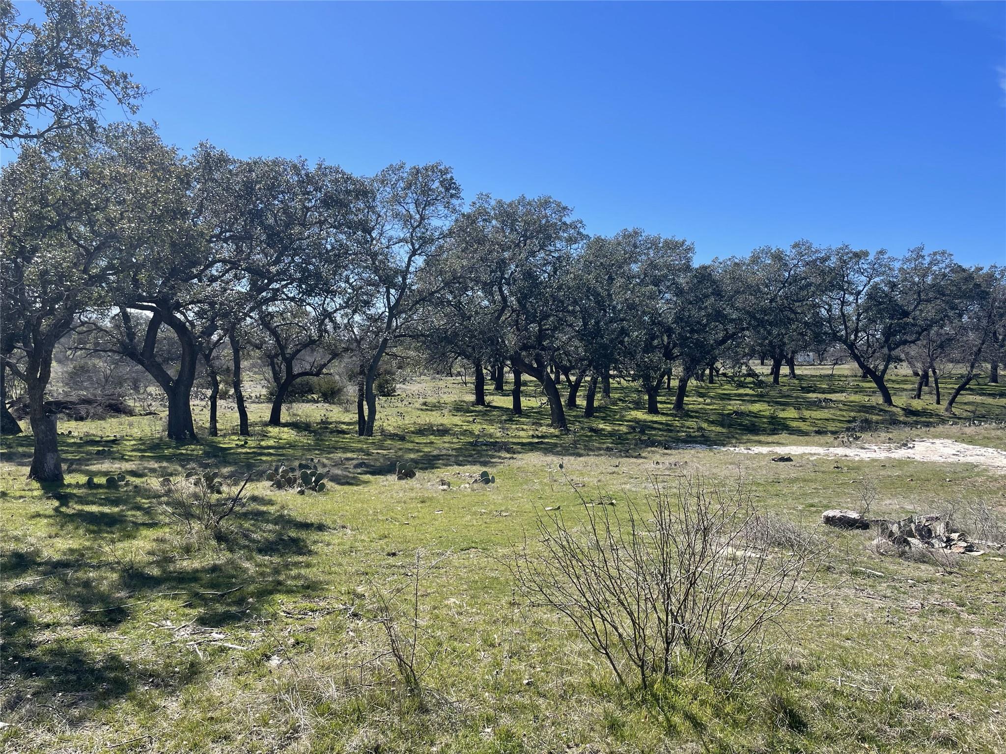 2157878 Property Photo 10