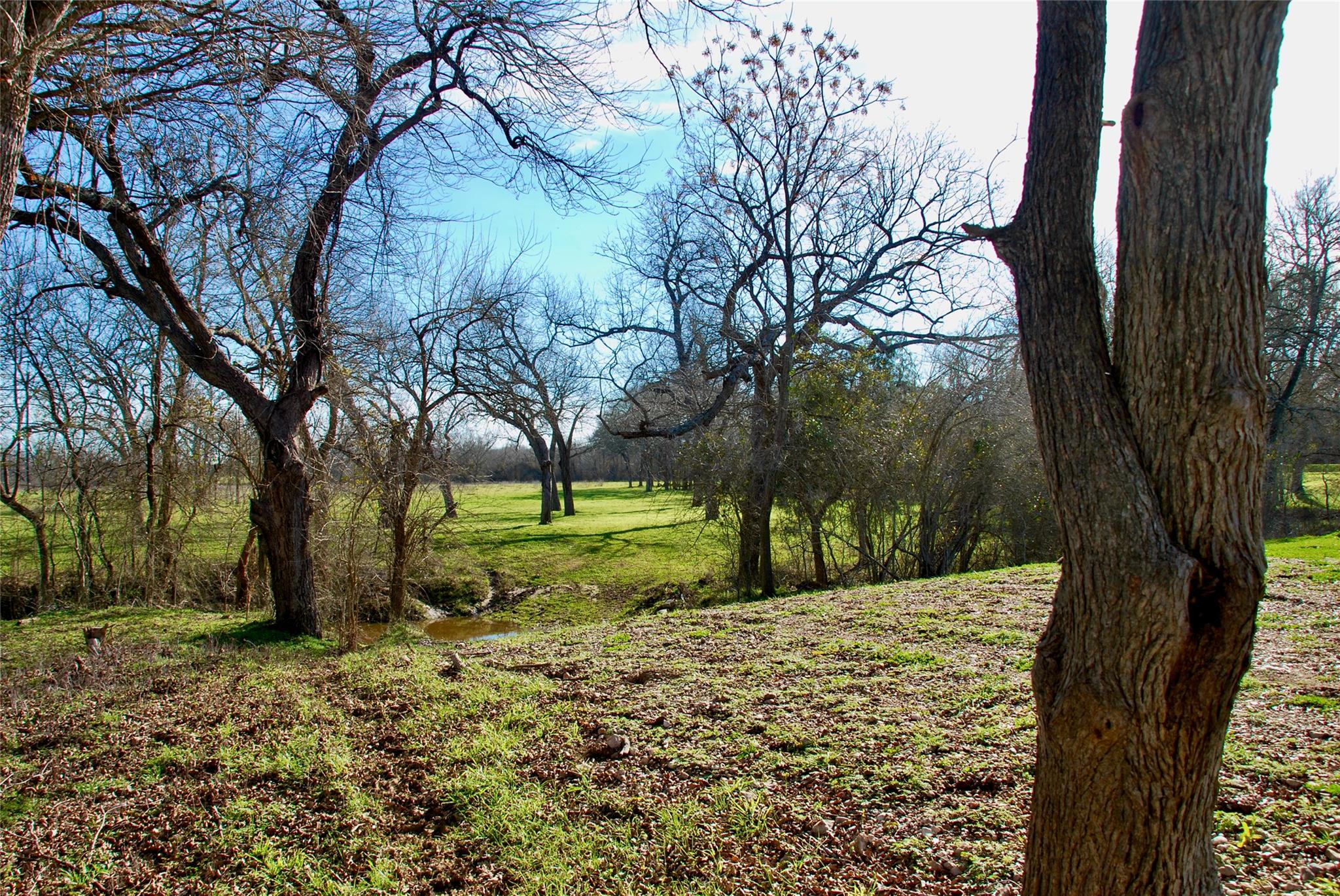 1000 Old Lytton Springs Rd Property Photo 18