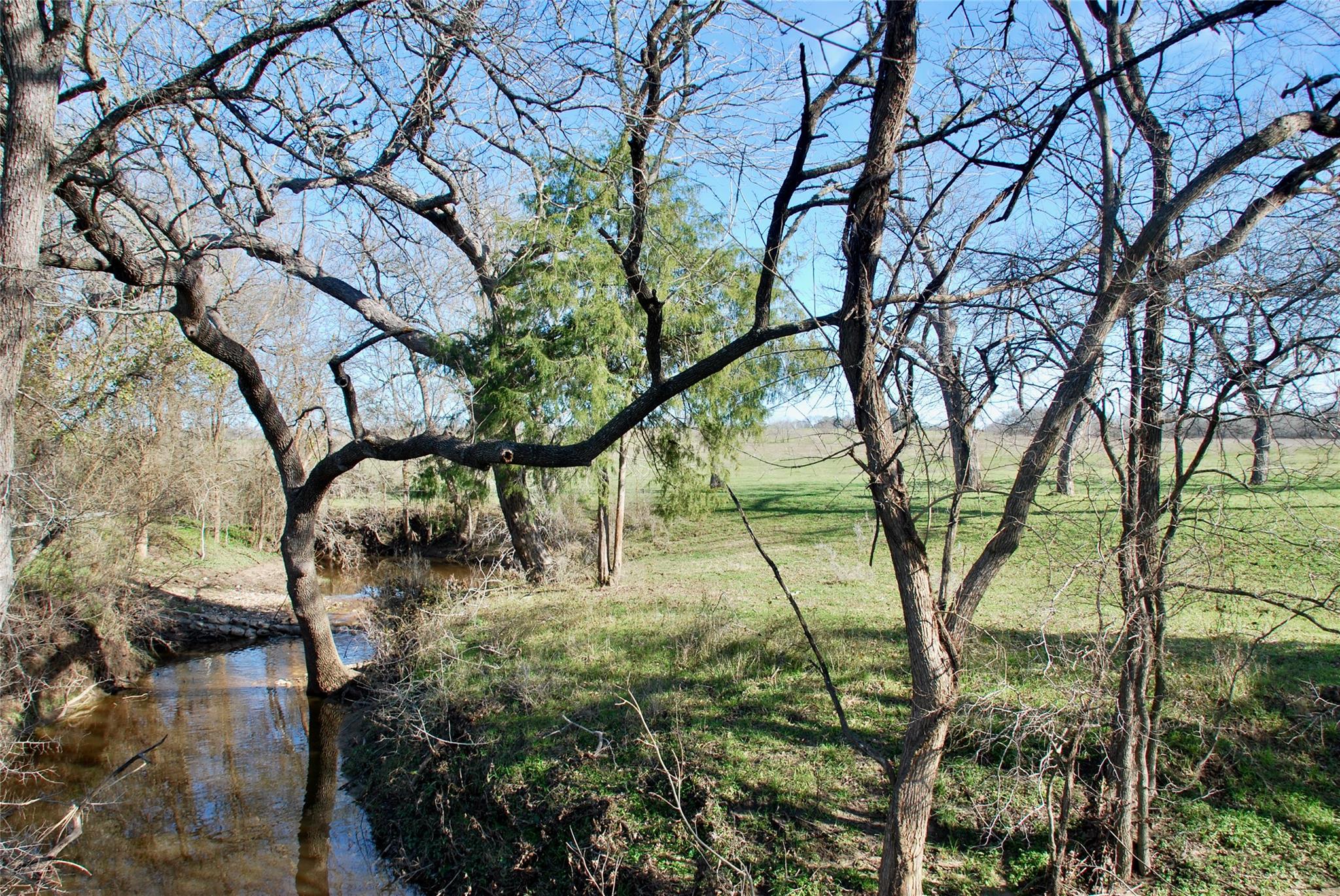 1000 Old Lytton Springs Rd Property Photo 25