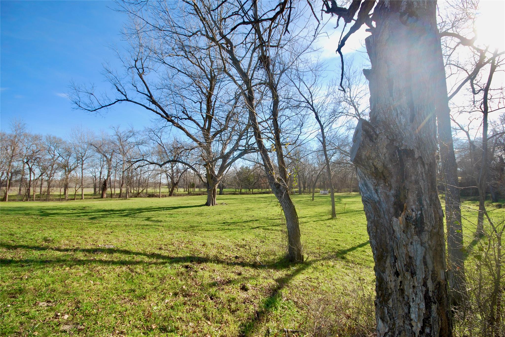 1000 Old Lytton Springs Rd Property Photo 26