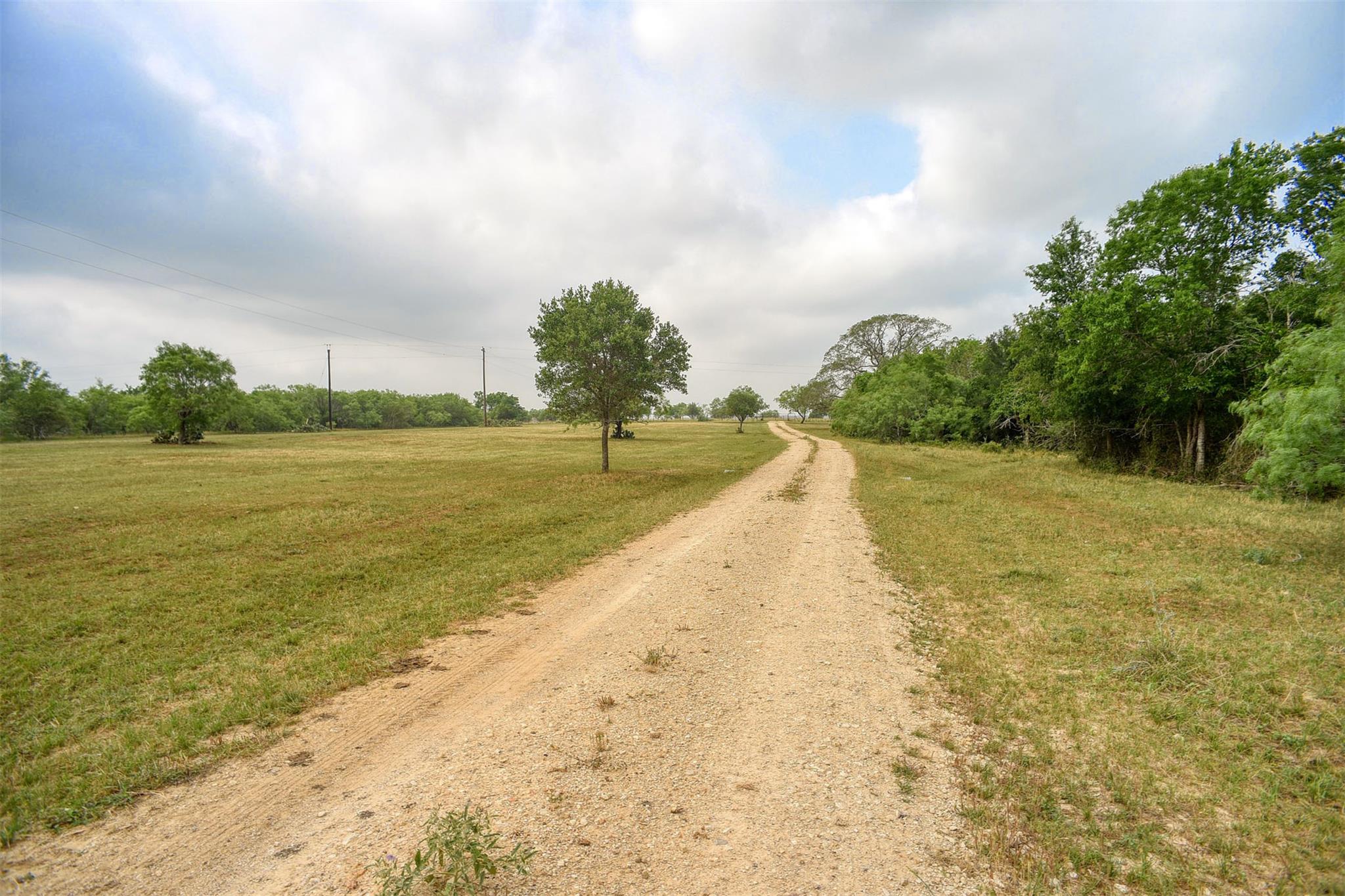 323 Cr 446 None Property Photo 23