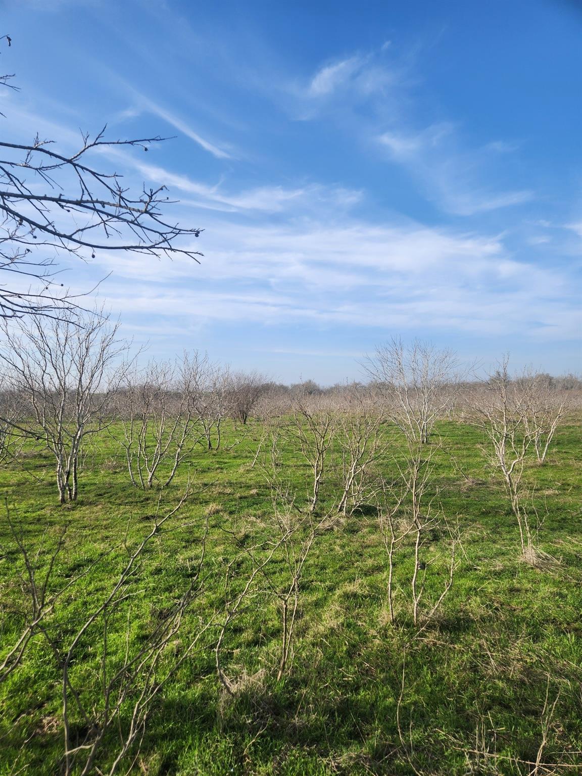 323 Cr 446 None Property Photo 26