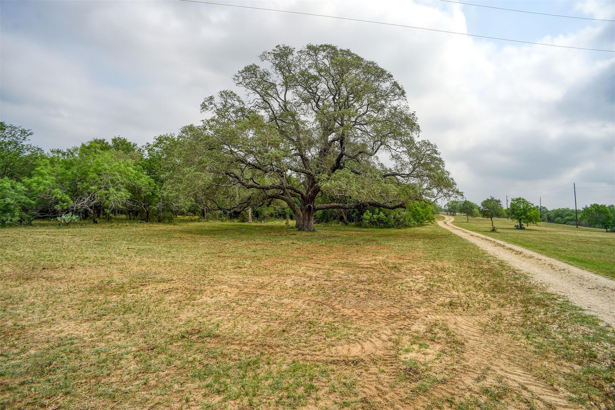 323 Cr 446 None Property Photo 29