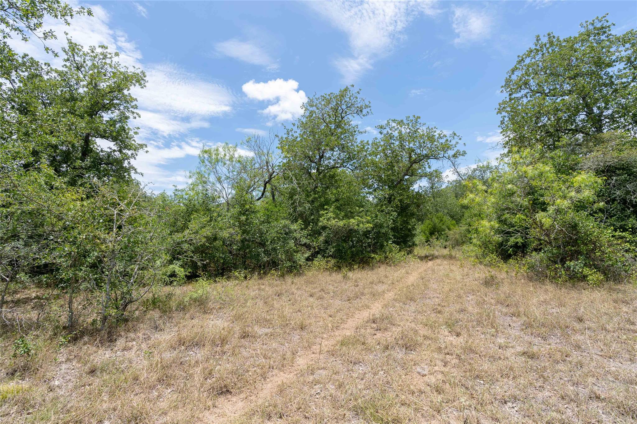 000 Fm 671 None Property Photo 5