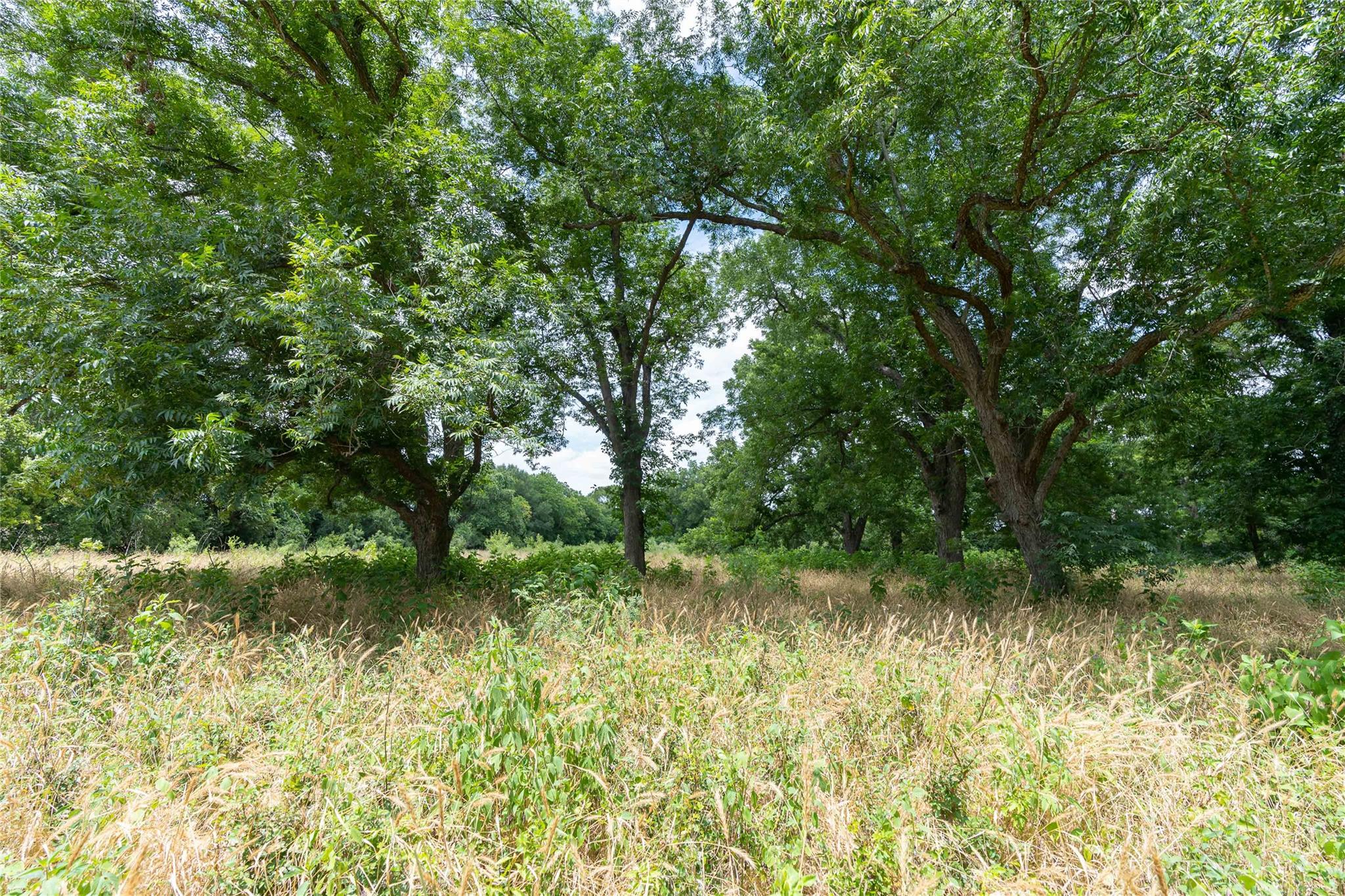 000 Fm 671 None Property Photo 17