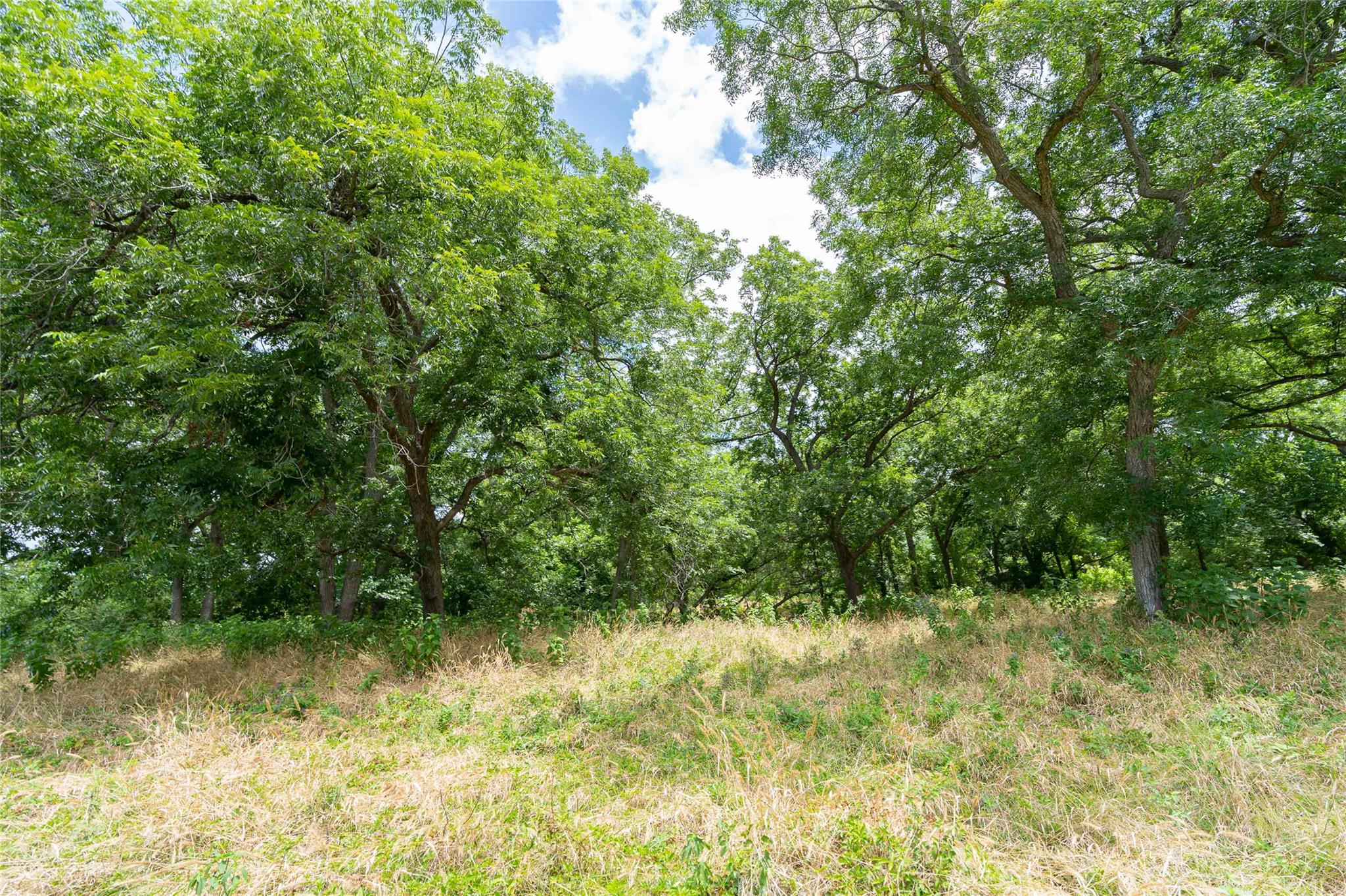000 Fm 671 None Property Photo 18