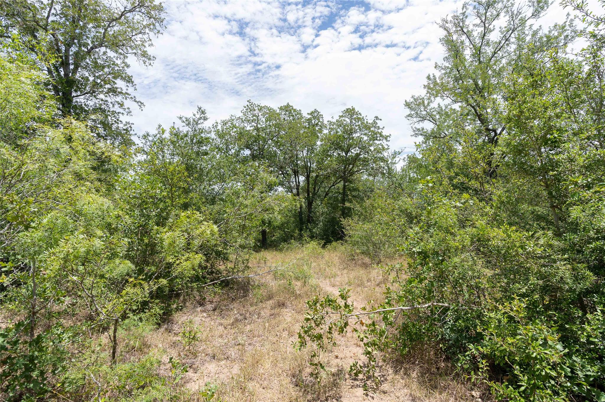 000 Fm 671 None Property Photo 25