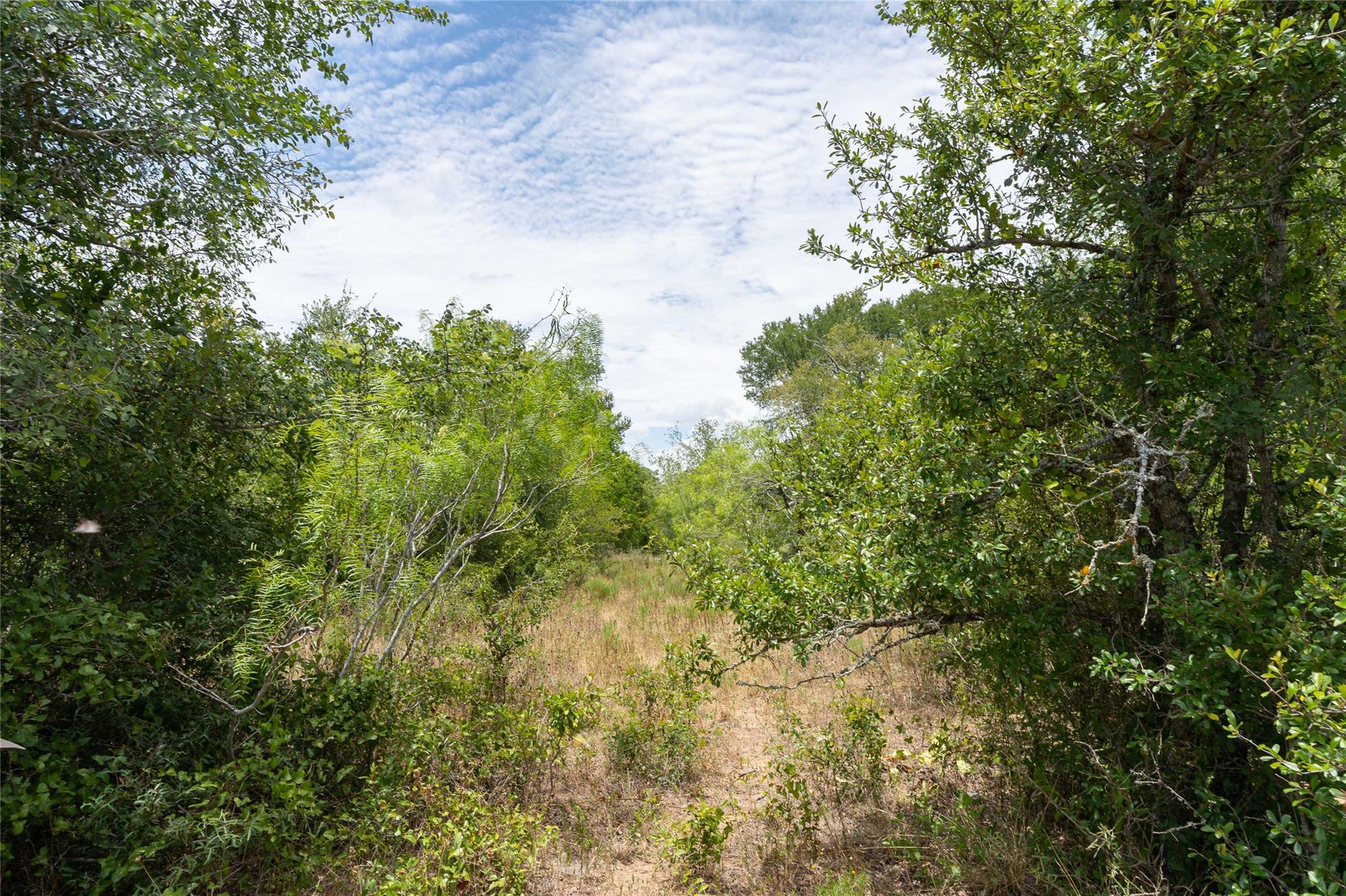 000 Fm 671 None Property Photo 29
