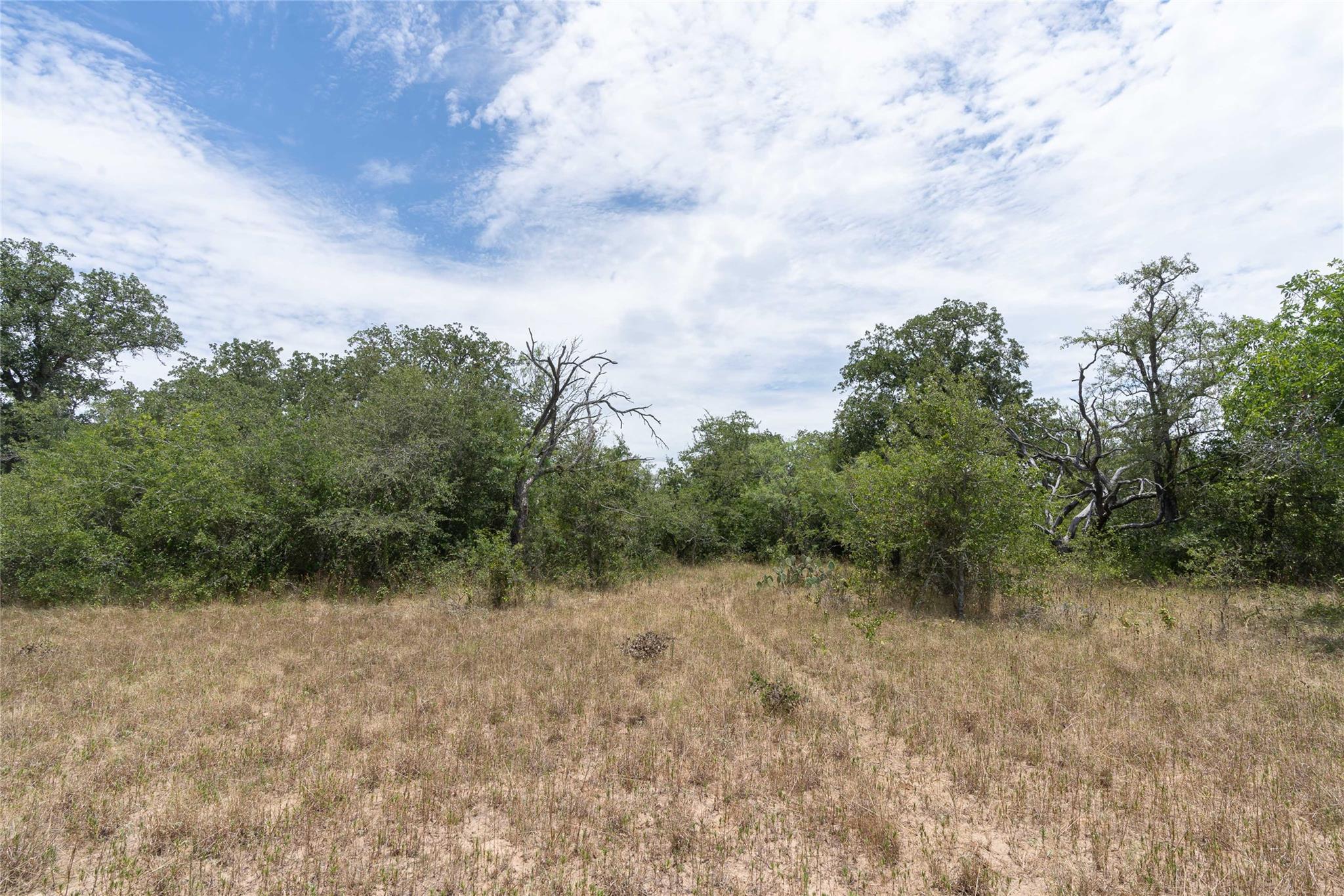 000 Fm 671 None Property Photo 31