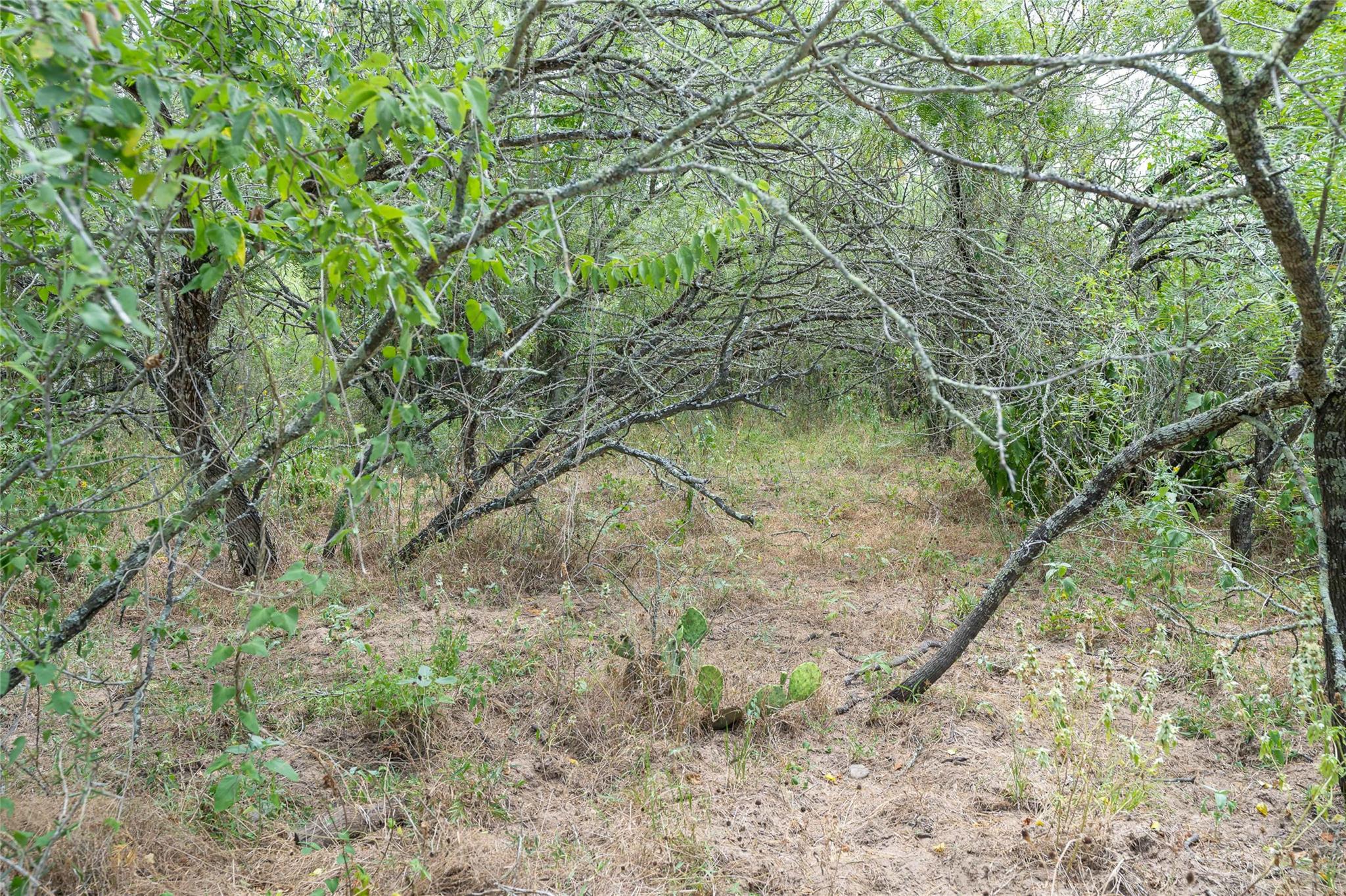 000 Fm 671 None Property Photo 32