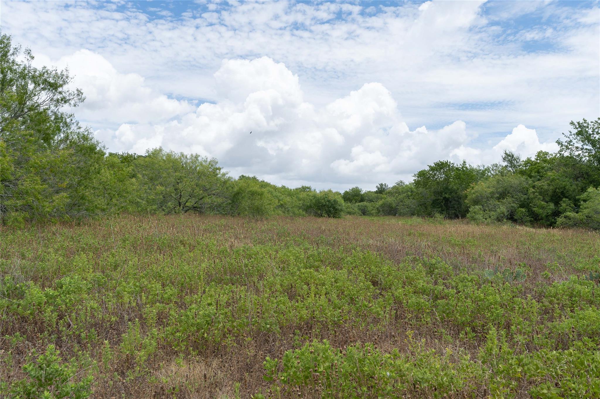 000 Fm 671 None Property Photo 33