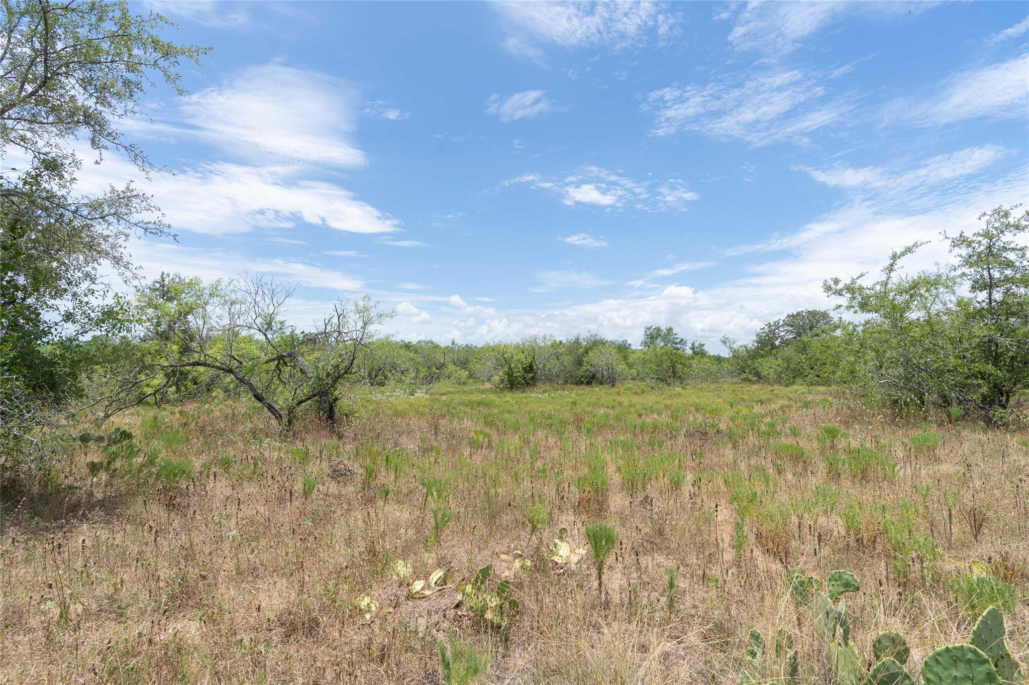 000 Fm 671 None Property Photo 36