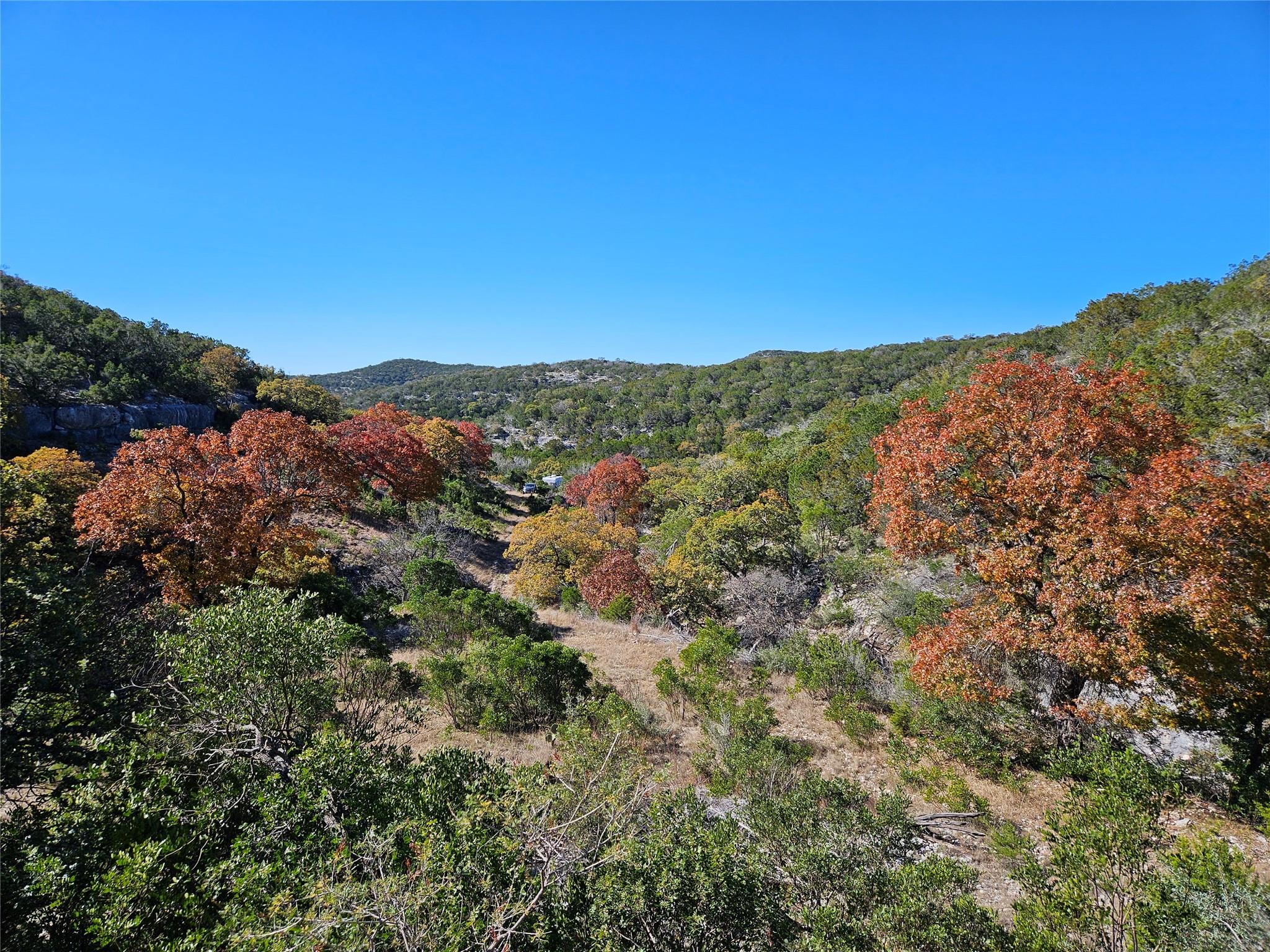 Tbd Ranch Road 2631 Property Photo