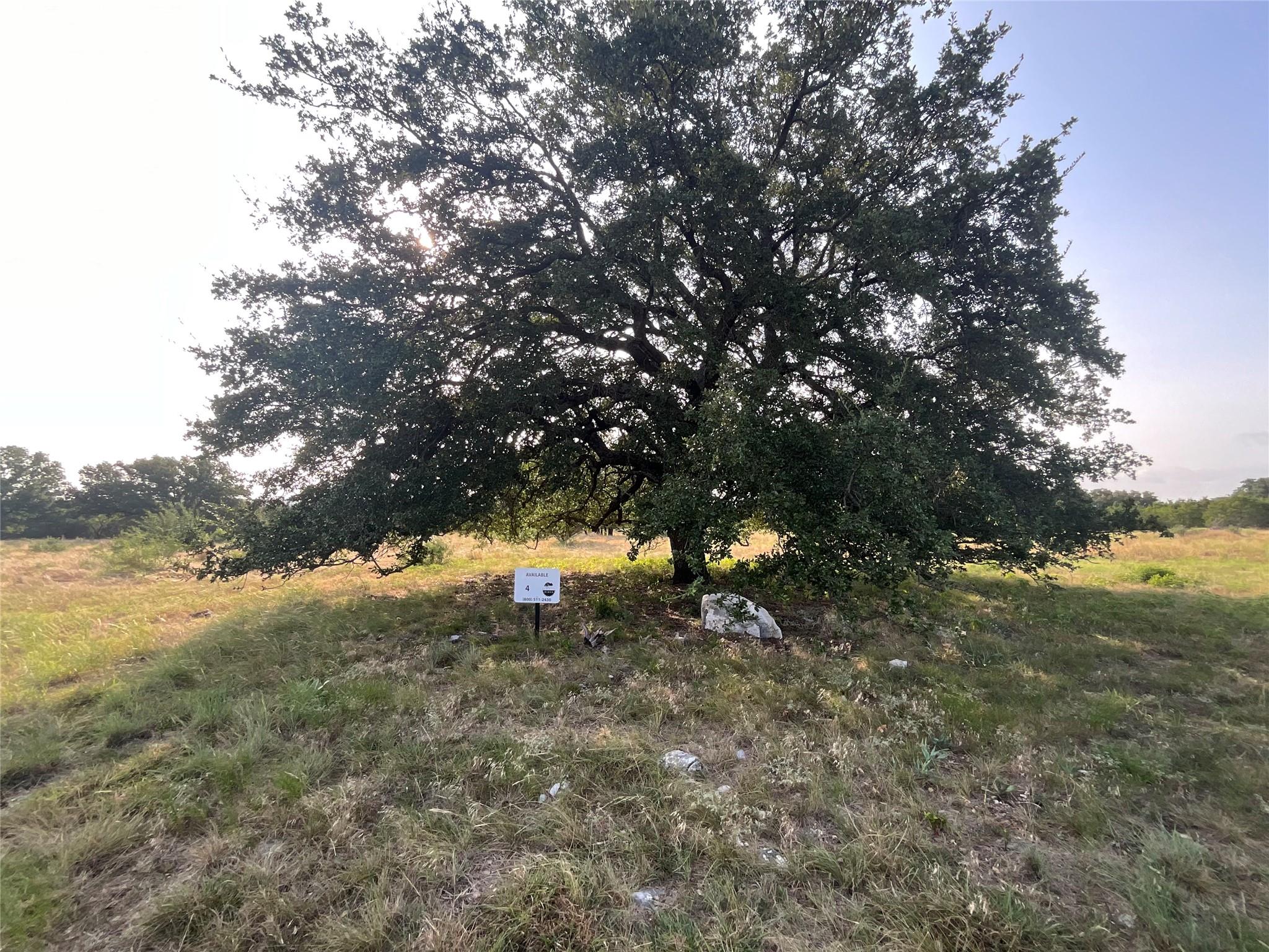 2172900 Property Photo 1