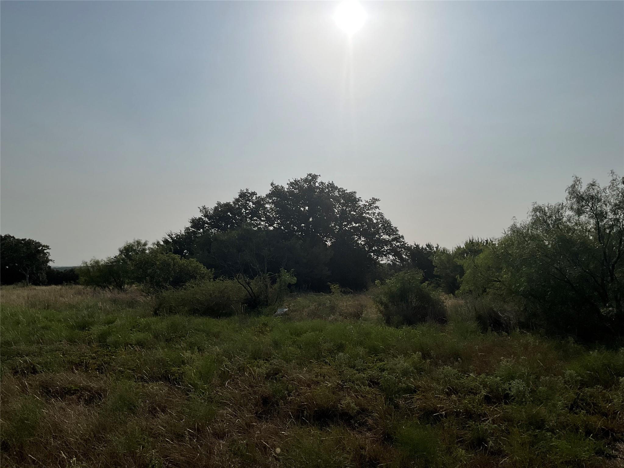 2172900 Property Photo 2