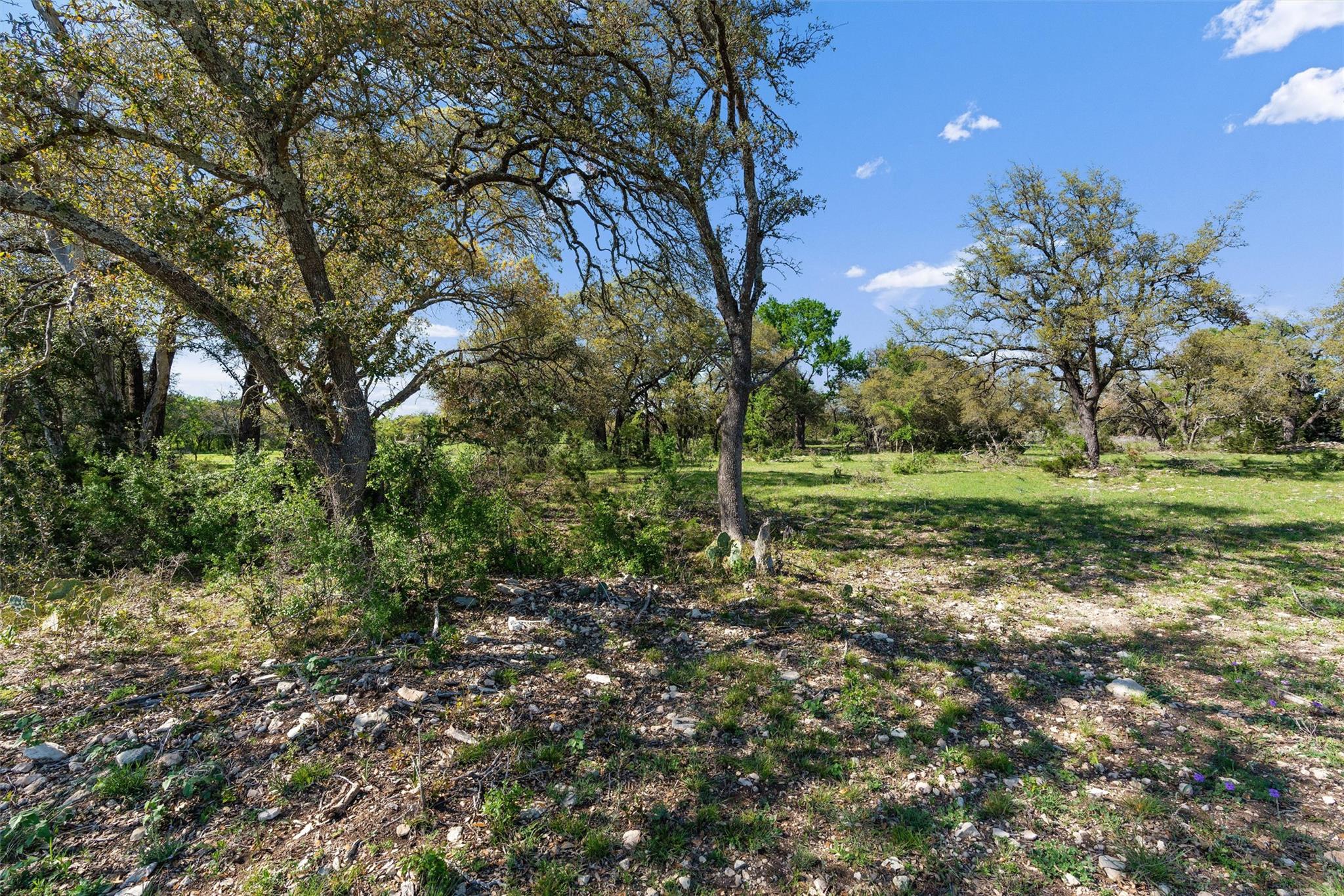 6300 County Road 200 Property Photo 3