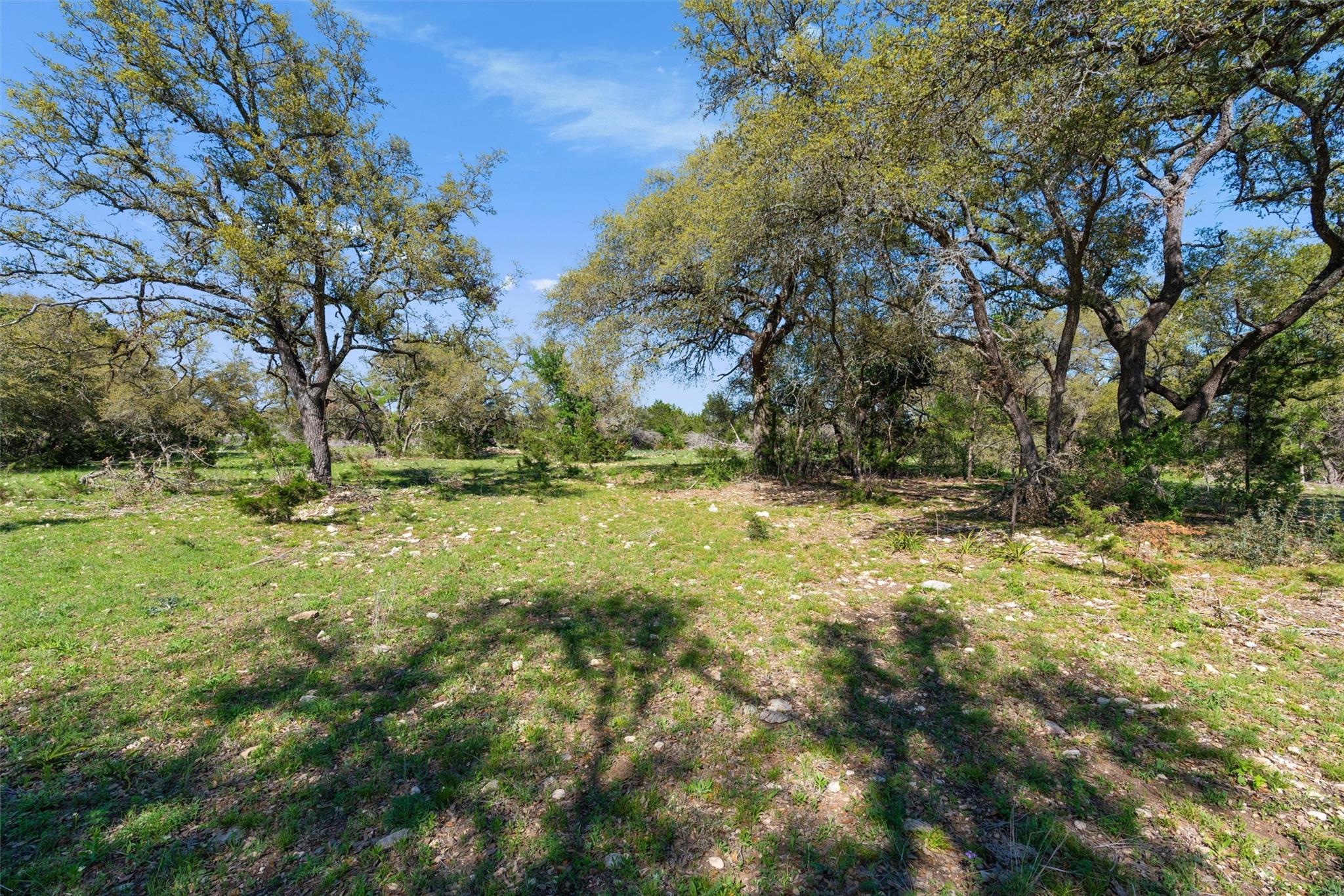 6300 County Road 200 Property Photo 4